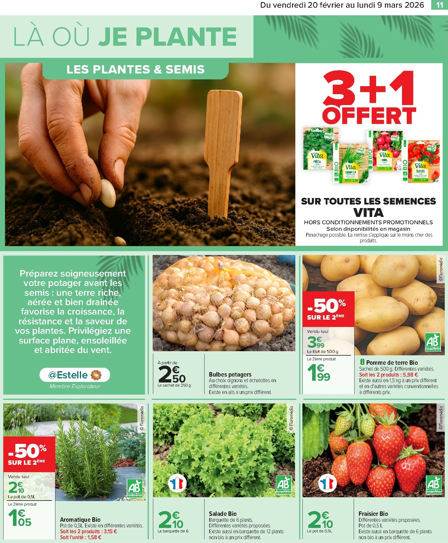 carrefour - Catalogue Carrefour - Jardin valable du 20/02/2026 au 09/03/2026 - page: 13
