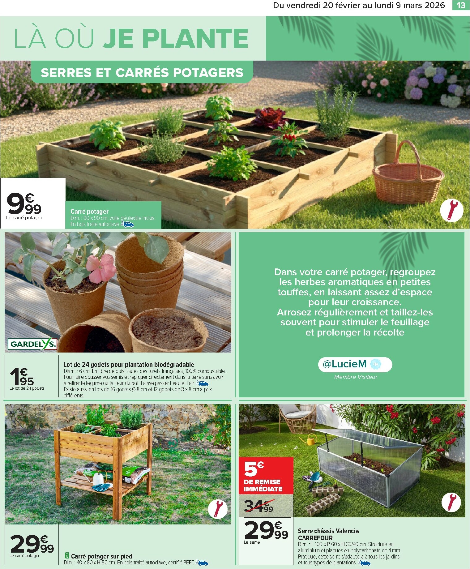 carrefour - Catalogue Carrefour - Jardin valable du 20/02/2026 au 09/03/2026 - page: 15