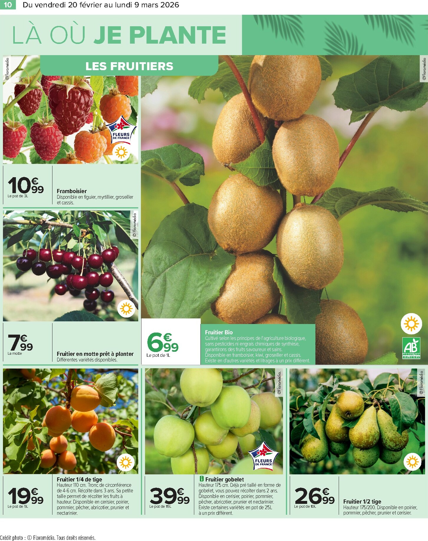 carrefour - Catalogue Carrefour - Jardin valable du 20/02/2026 au 09/03/2026 - page: 12