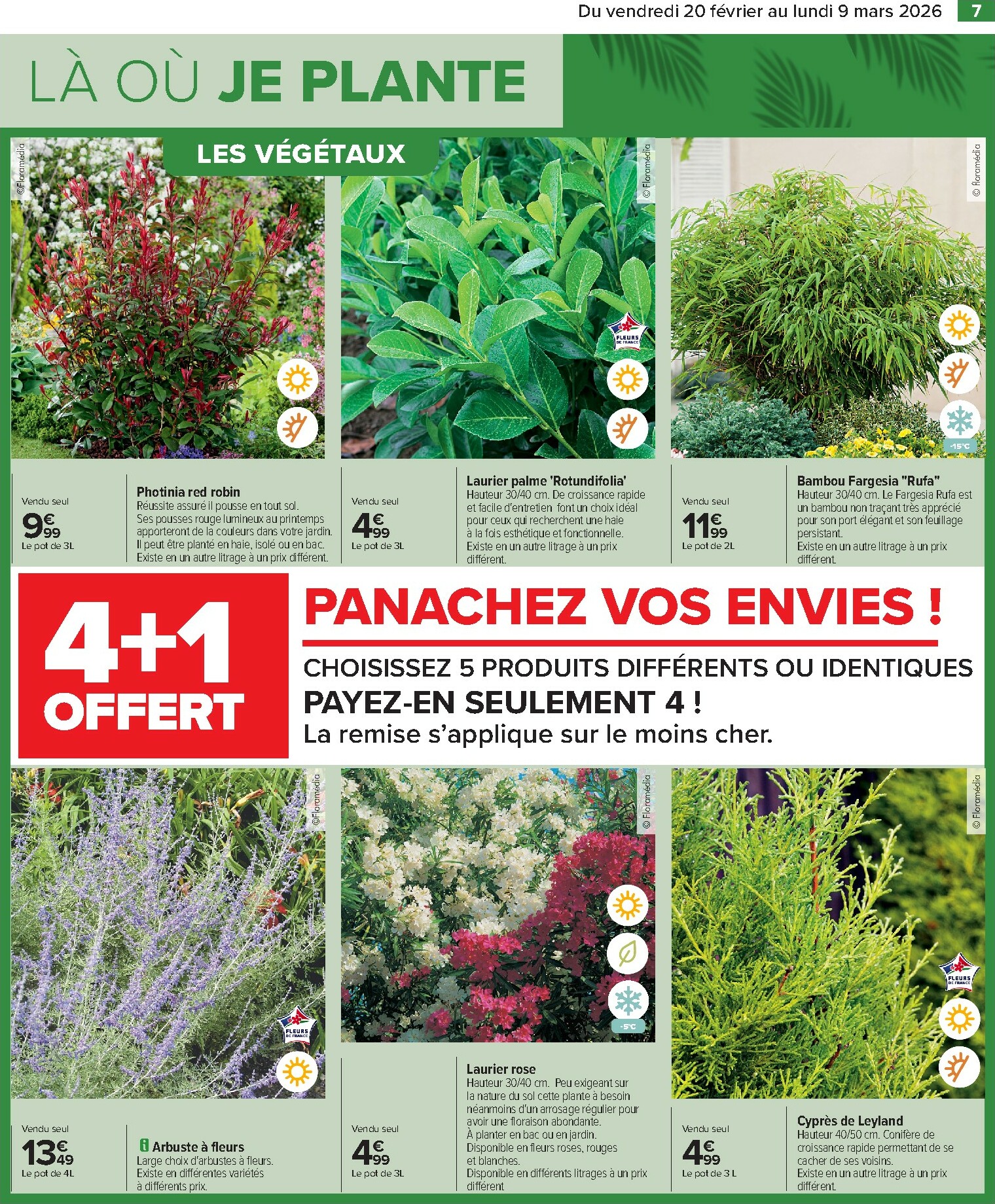 carrefour - Catalogue Carrefour - Jardin valable du 20/02/2026 au 09/03/2026 - page: 9