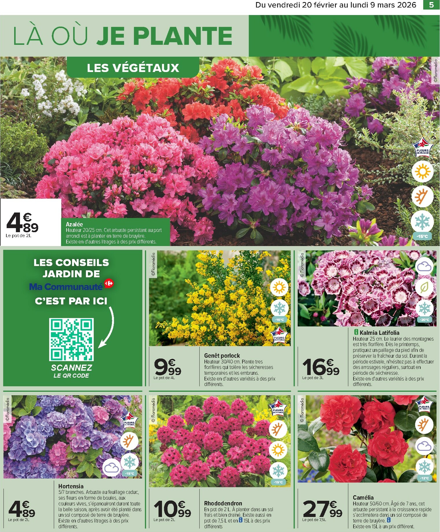 carrefour - Catalogue Carrefour - Jardin valable du 20/02/2026 au 09/03/2026 - page: 7