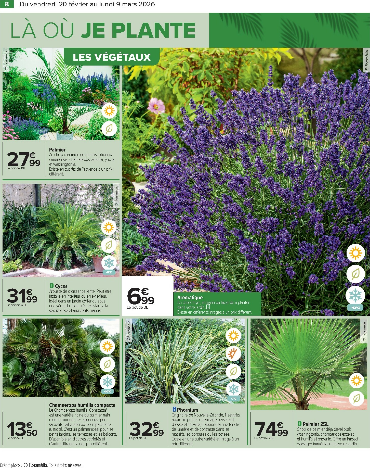 carrefour - Catalogue Carrefour - Jardin valable du 20/02/2026 au 09/03/2026 - page: 10