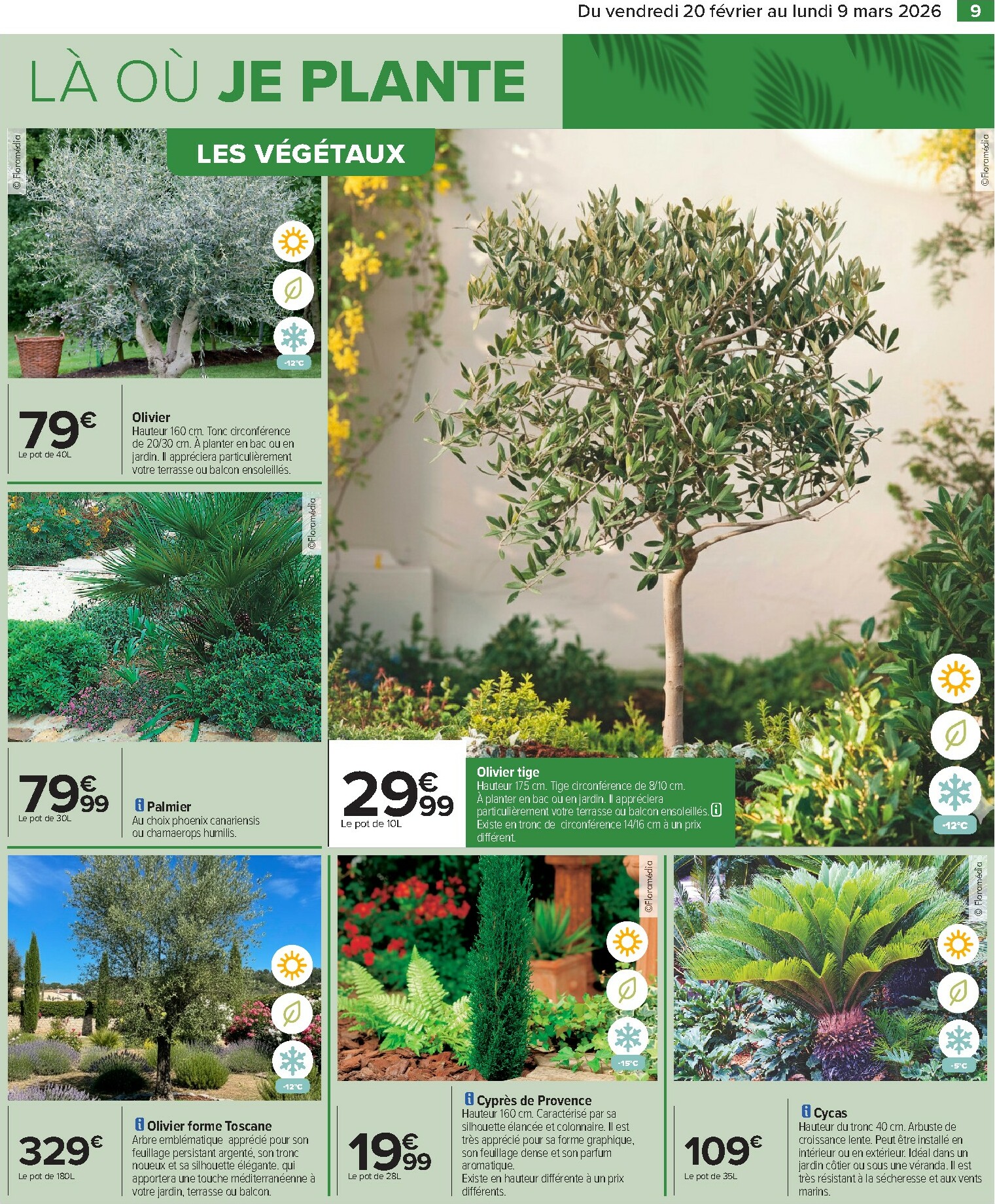 carrefour - Catalogue Carrefour - Jardin valable du 20/02/2026 au 09/03/2026 - page: 11