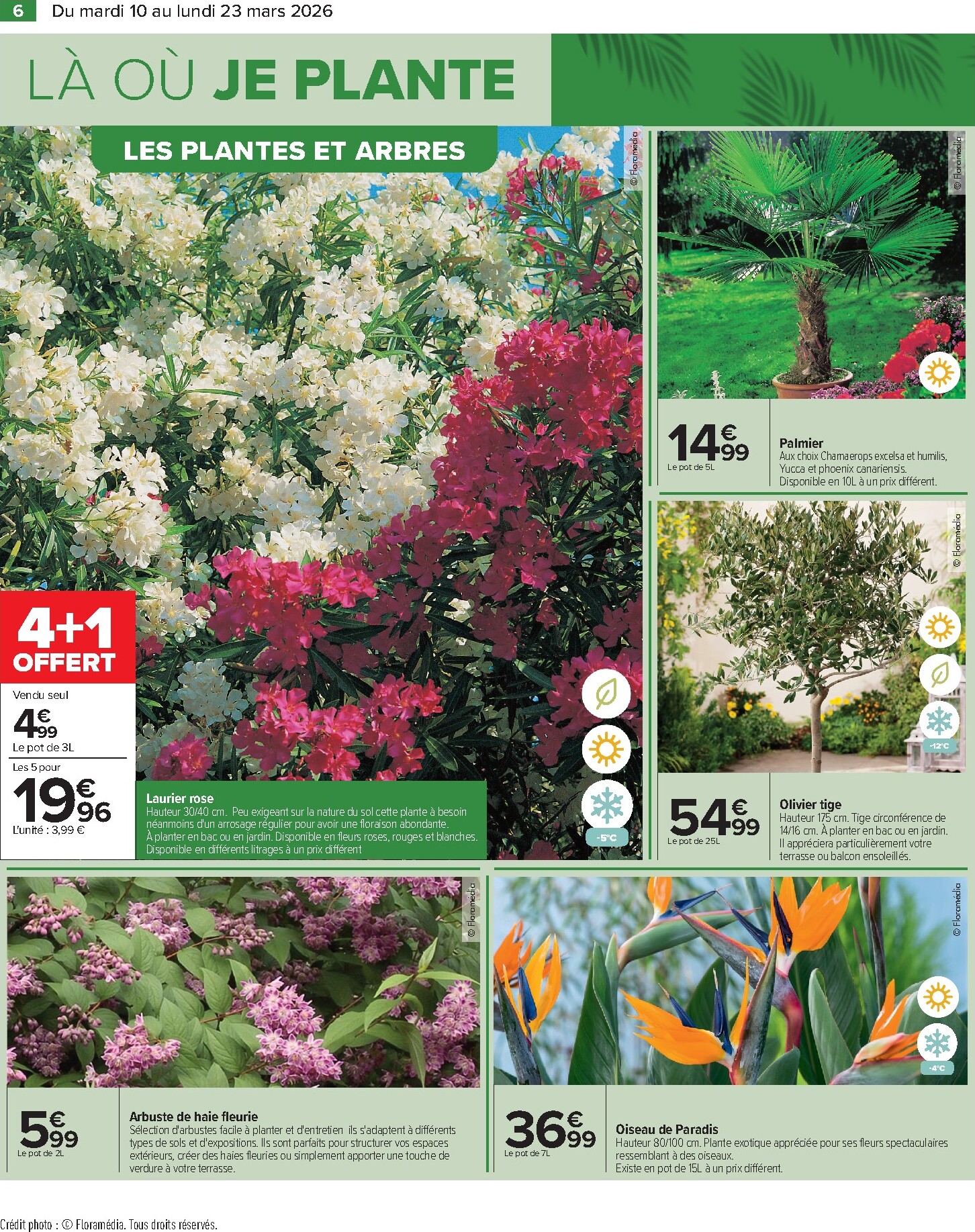 carrefour - Catalogue Carrefour - Jardin Là où La Vie Se Cultive valable du 10/03/2026 au 23/03/2026 - page: 6