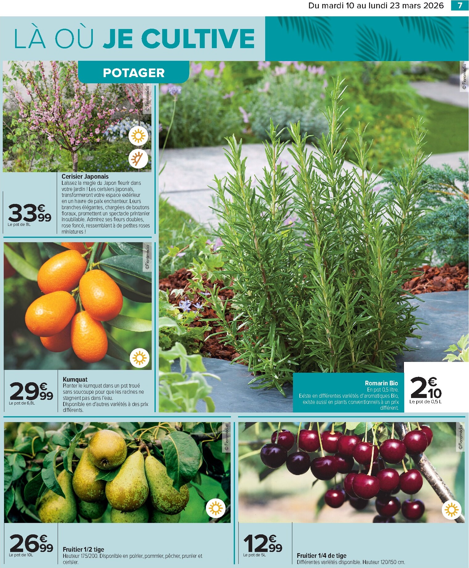 carrefour - Catalogue Carrefour - Jardin Là où La Vie Se Cultive valable du 10/03/2026 au 23/03/2026 - page: 7