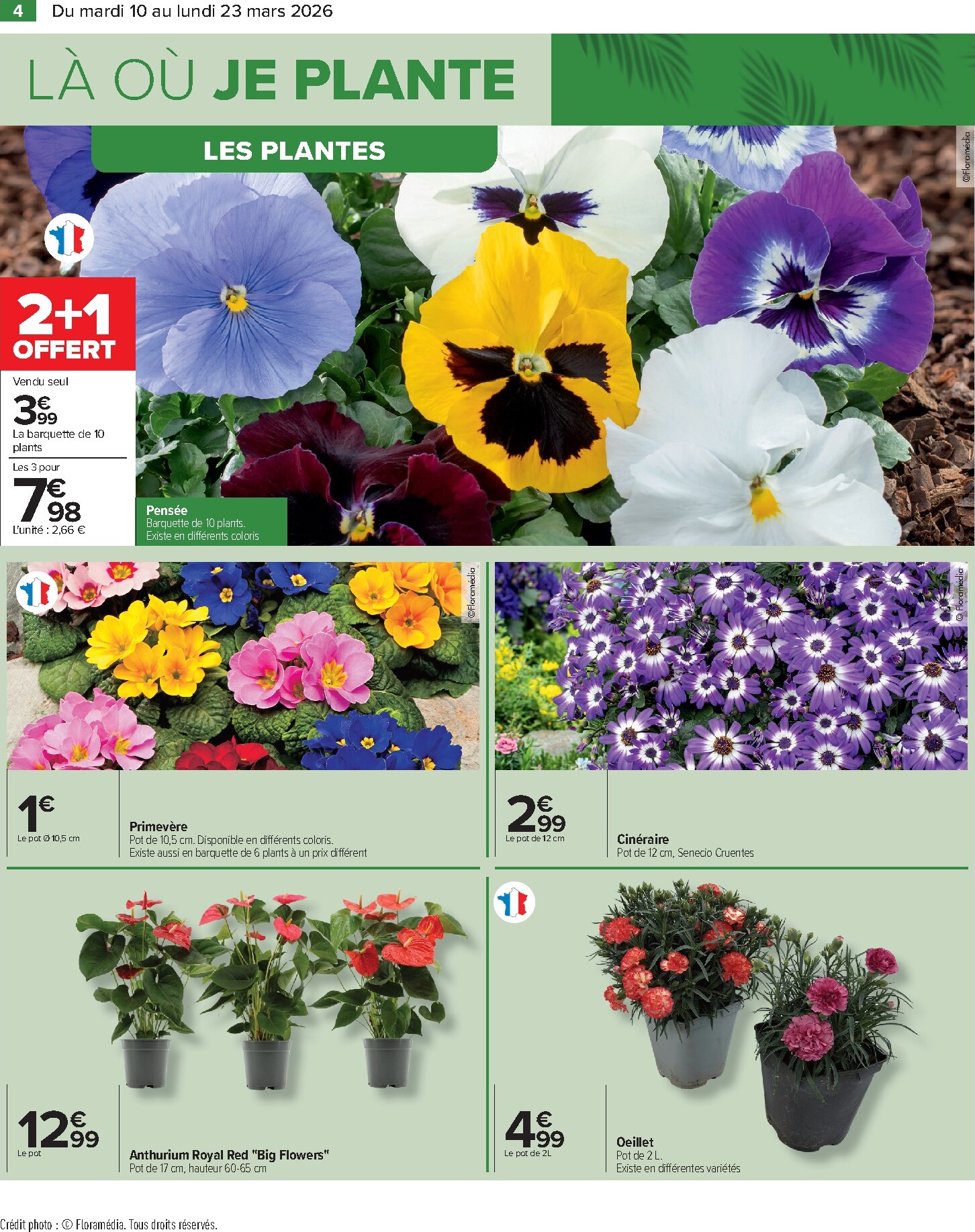 carrefour - Catalogue Carrefour - Jardin Là où La Vie Se Cultive valable du 10/03/2026 au 23/03/2026 - page: 4
