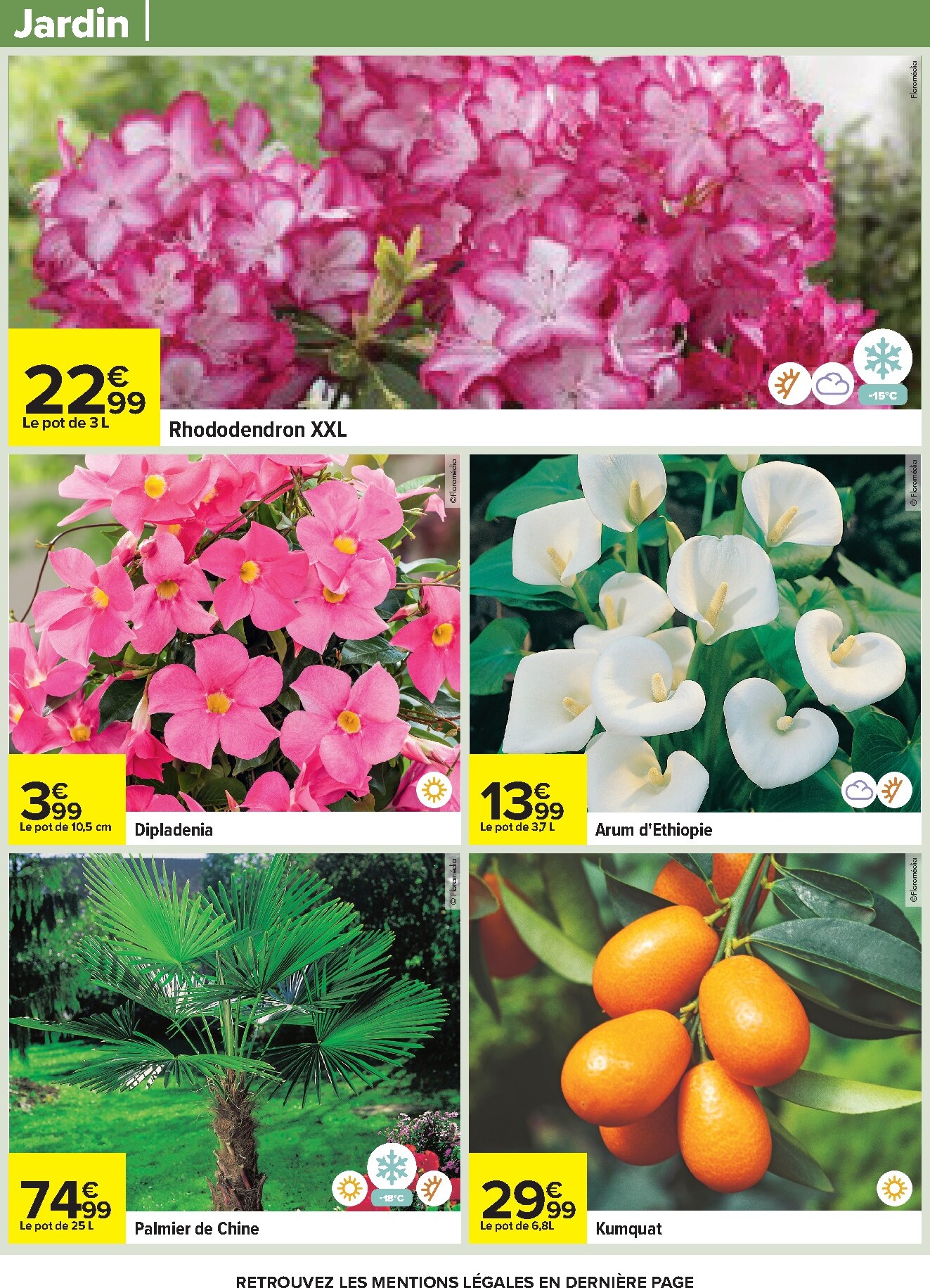 carrefour - Catalogue Carrefour - Pâques Pour Tous Les Goûts valable du 24/03/2026 au 06/04/2026 - page: 97