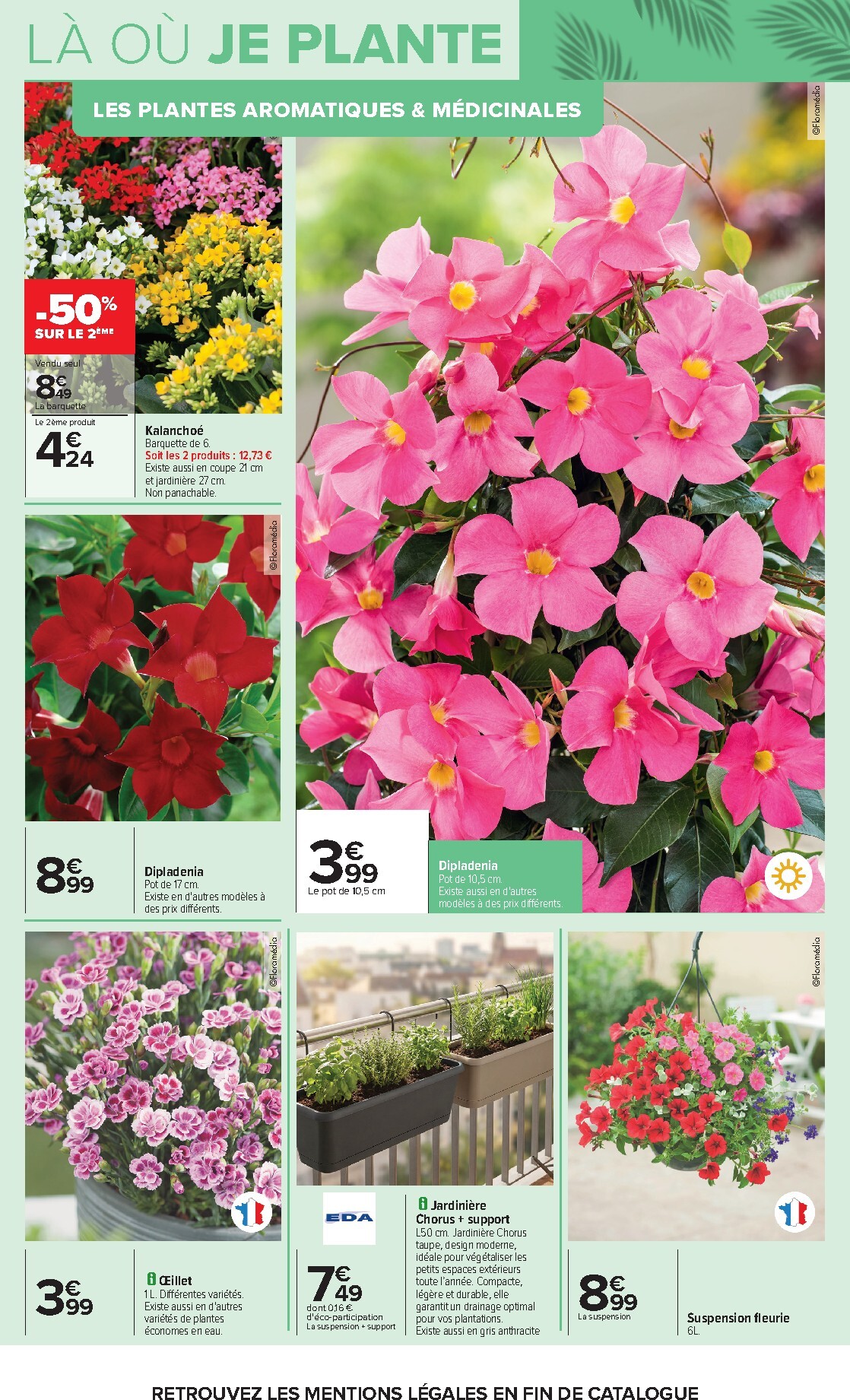 carrefour - Flyer Carrefour - Jardin Plantation et Mobilier pour la semaine prochaine du du mardi 14/04/2026 au du lundi 27/04/2026 - page: 4