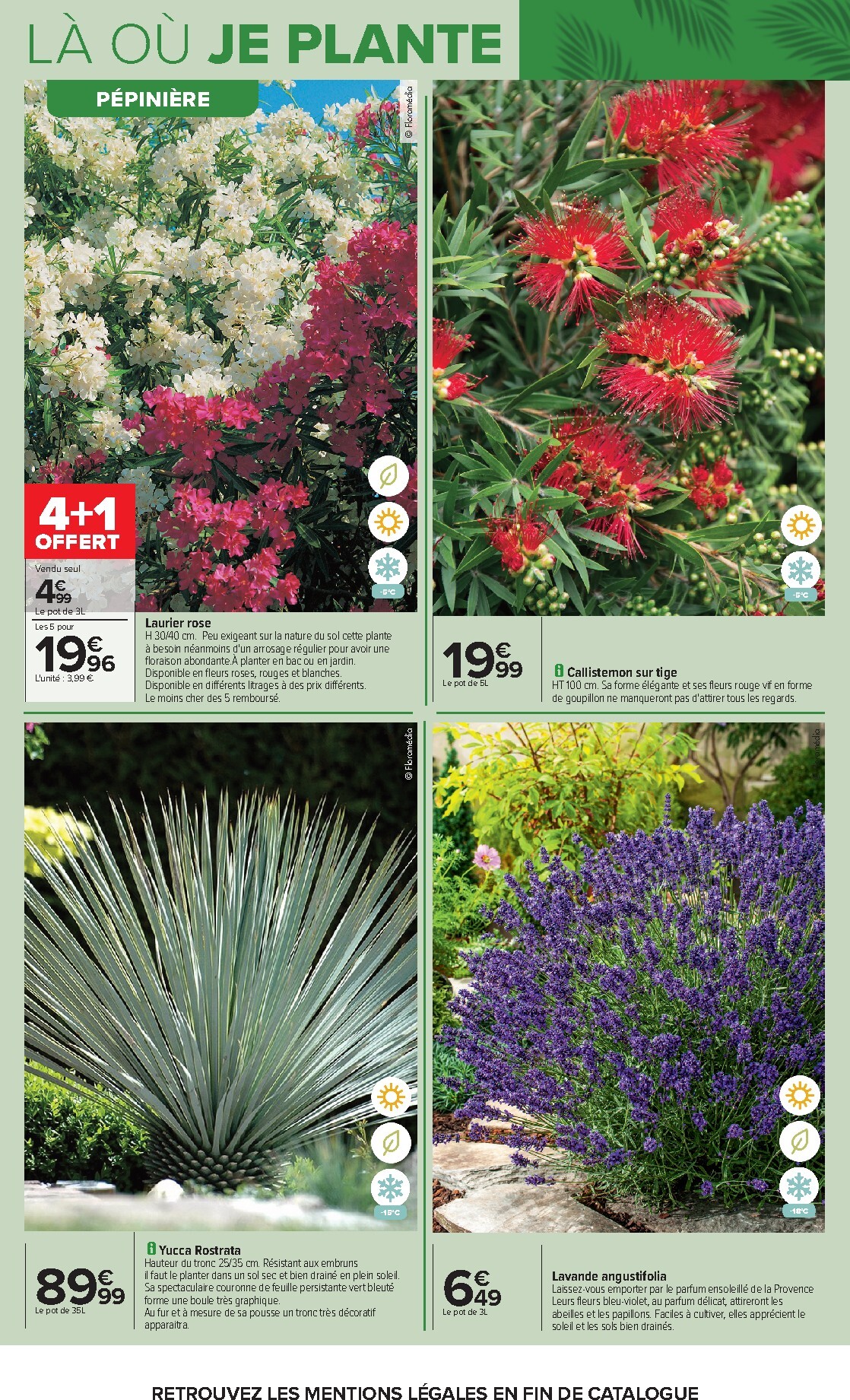 carrefour - Flyer Carrefour - Jardin Plantation et Mobilier pour la semaine prochaine du du mardi 14/04/2026 au du lundi 27/04/2026 - page: 8