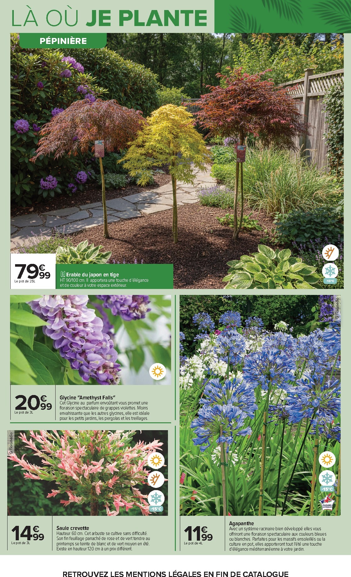 carrefour - Flyer Carrefour - Jardin Plantation et Mobilier pour la semaine prochaine du du mardi 14/04/2026 au du lundi 27/04/2026 - page: 7