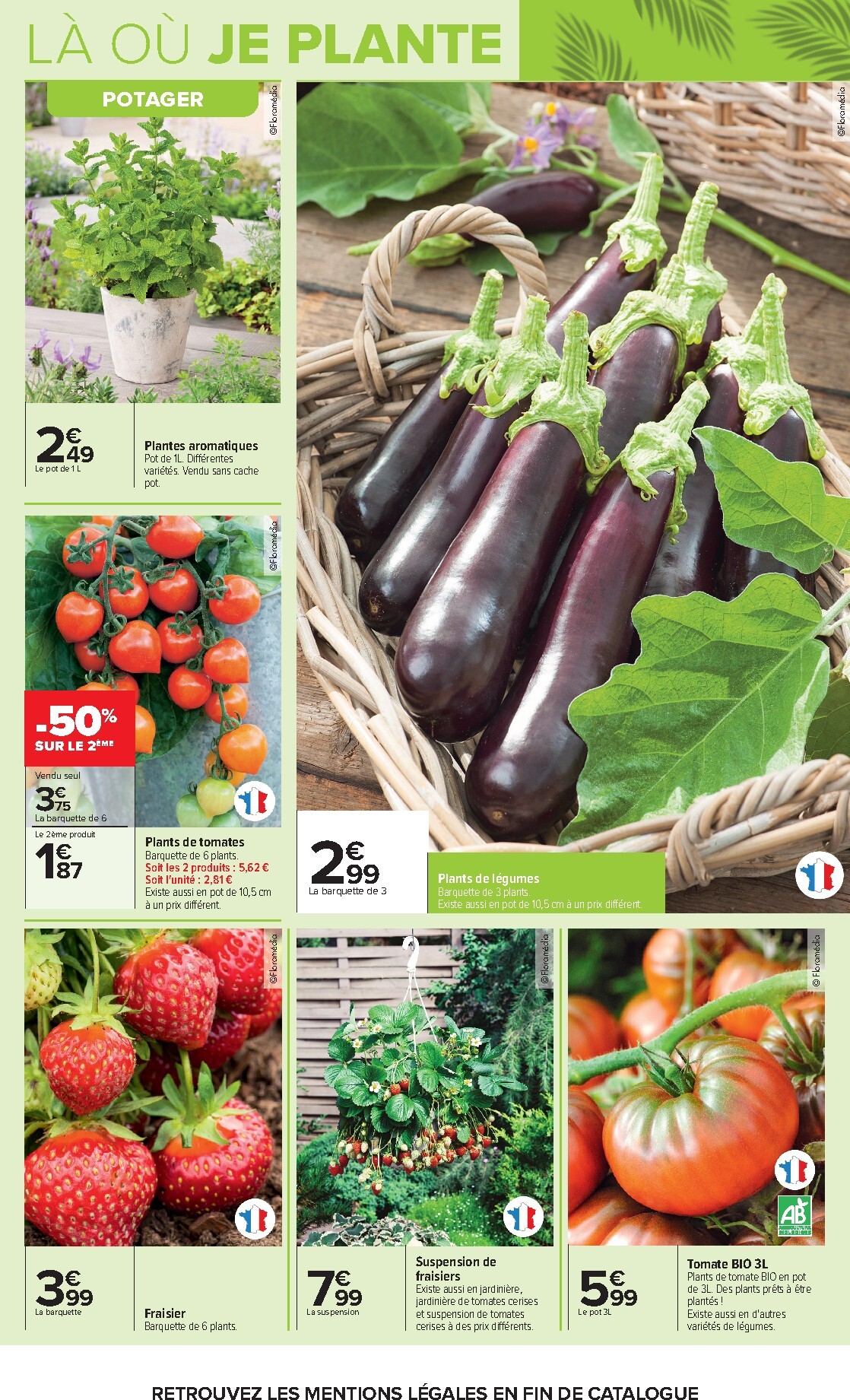 carrefour - Flyer Carrefour - Jardin Plantation et Mobilier pour la semaine prochaine du du mardi 14/04/2026 au du lundi 27/04/2026 - page: 14