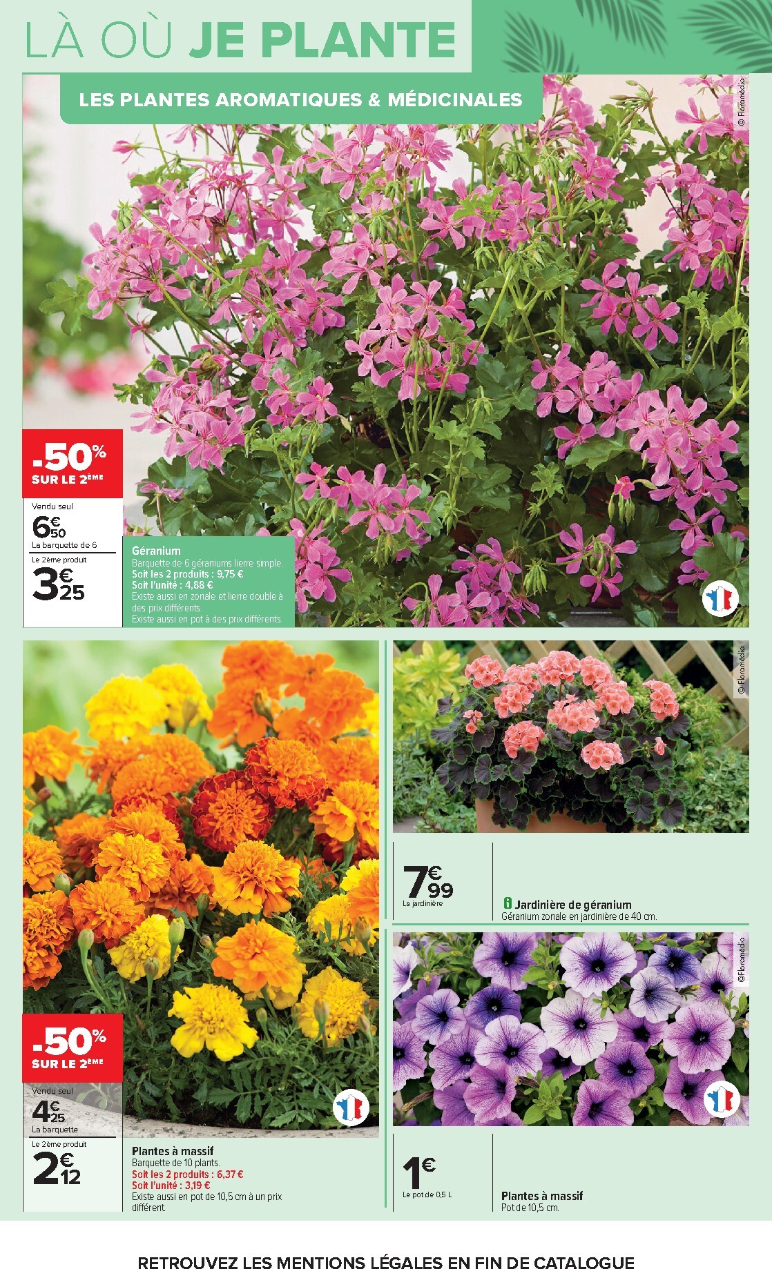 carrefour - Flyer Carrefour - Jardin Plantation et Mobilier pour la semaine prochaine du du mardi 14/04/2026 au du lundi 27/04/2026 - page: 5