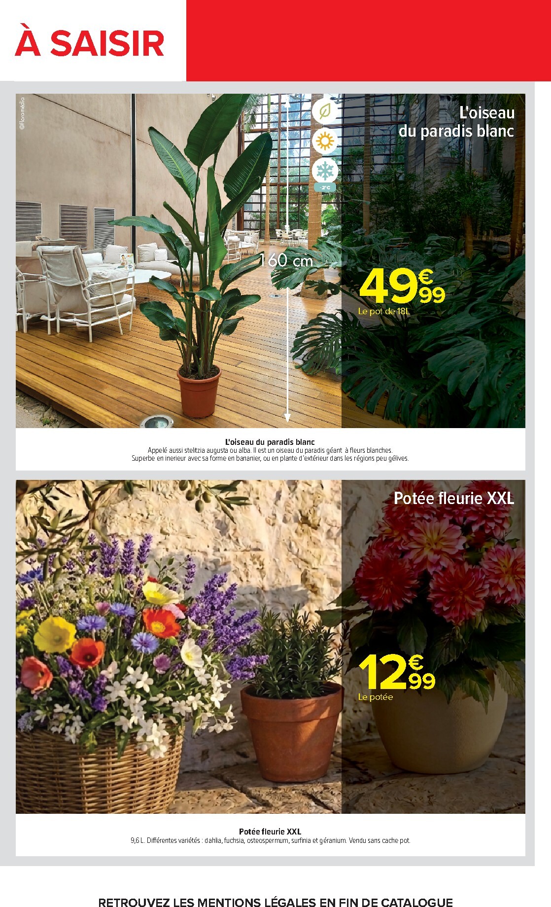 carrefour - Flyer Carrefour - Alcools & Coktails pour la semaine prochaine du du mardi 05/05/2026 au du lundi 18/05/2026 - page: 71