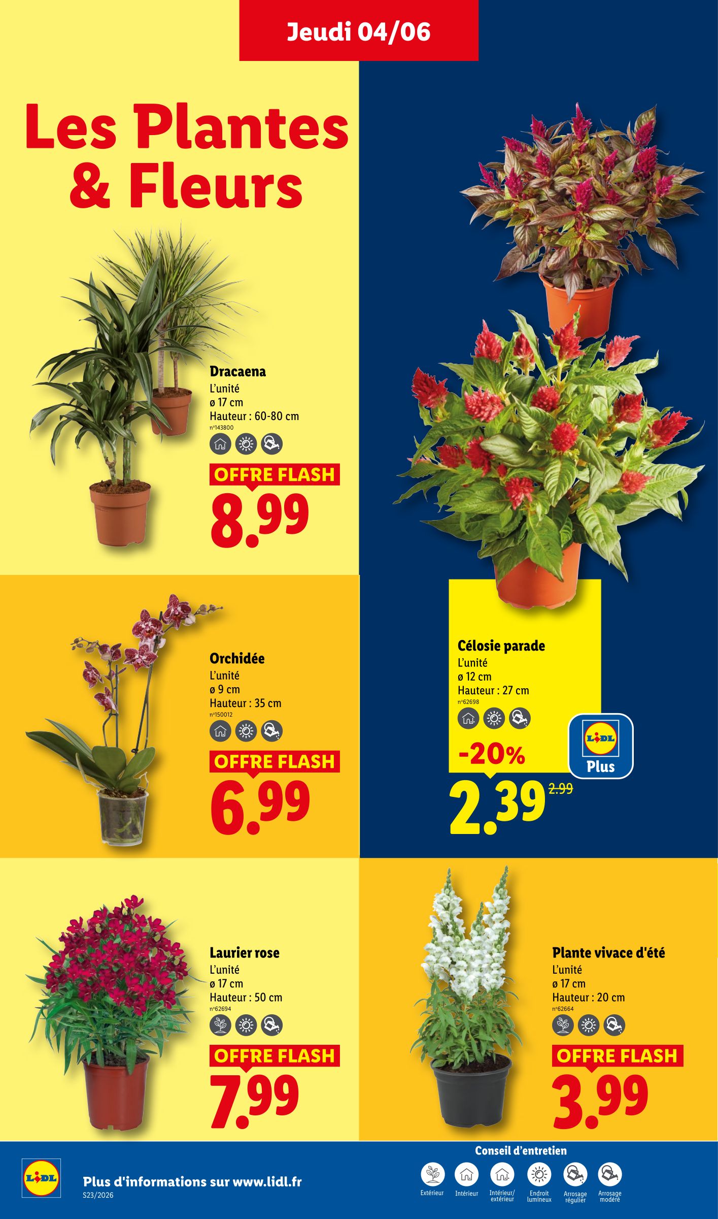 lidl - Flyer Lidl - Les promos de la semaine pour la semaine prochaine du de jeudi 04/06/2026 au du mercredi 10/06/2026 - page: 26