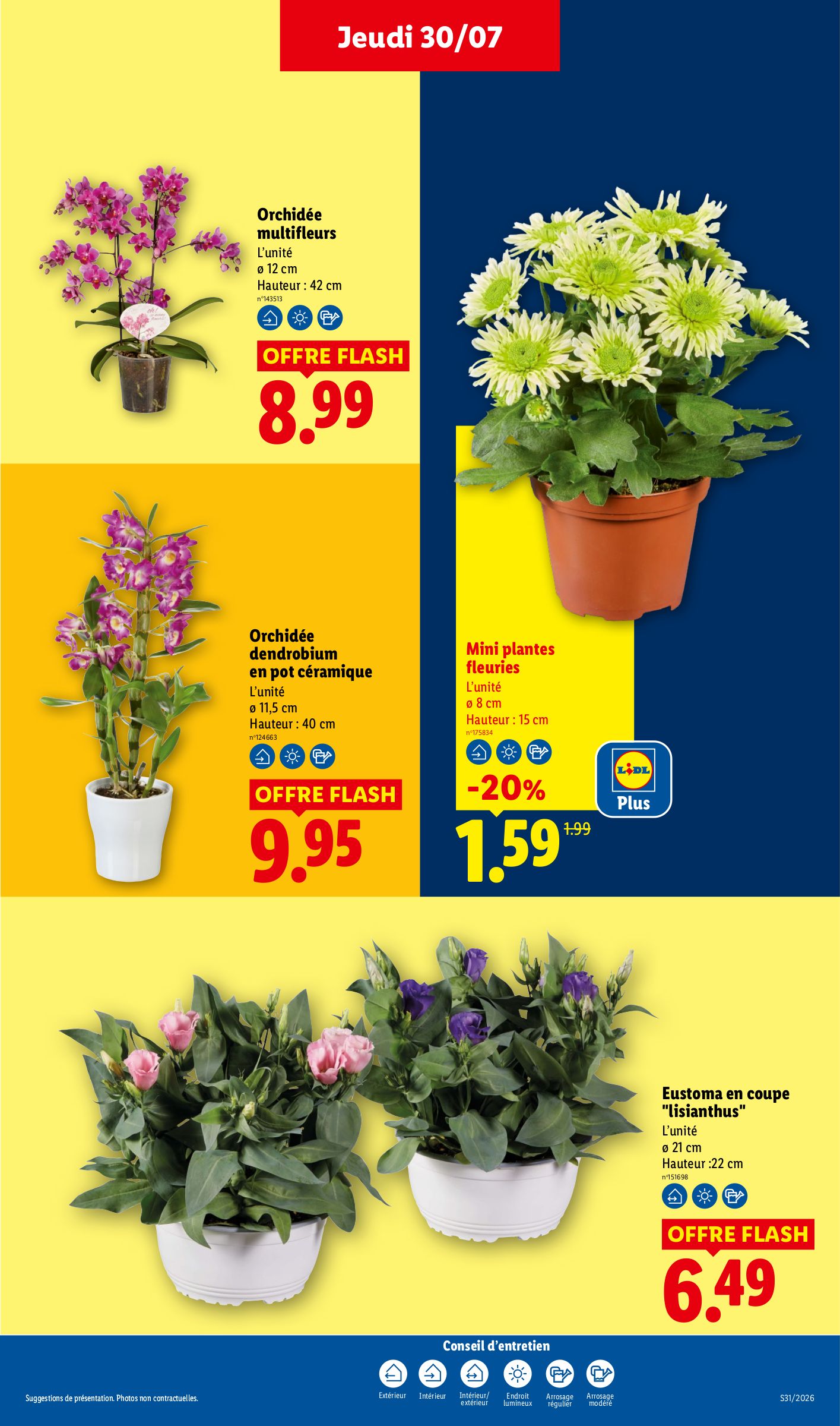 lidl - Current Lidl leaflet valid from de jeudi 30/07/2026 to du mercredi 05/08/2026 - page: 29