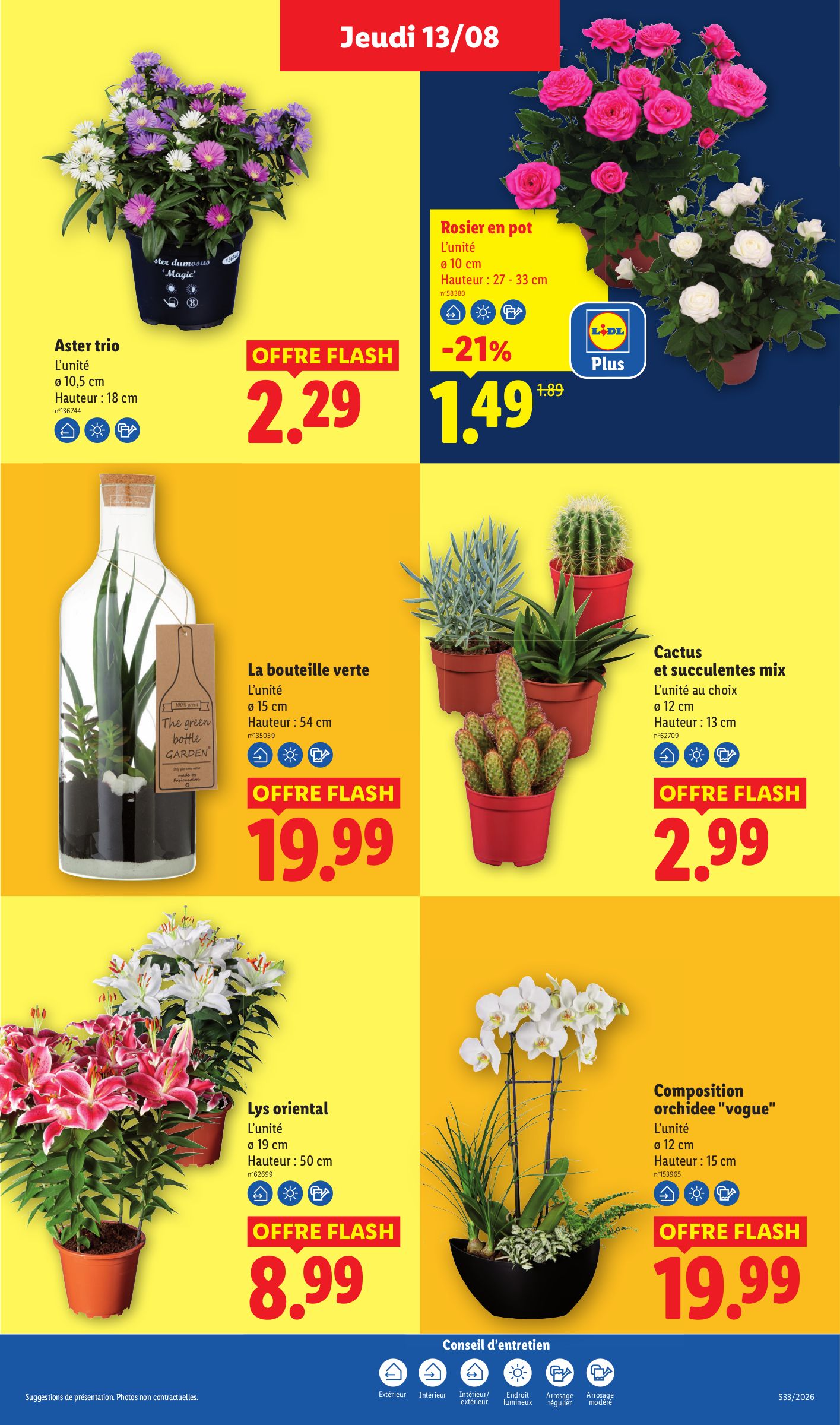 lidl - Flyer Lidl pour la semaine prochaine du de jeudi 13/08/2026 au du mercredi 19/08/2026 - page: 29
