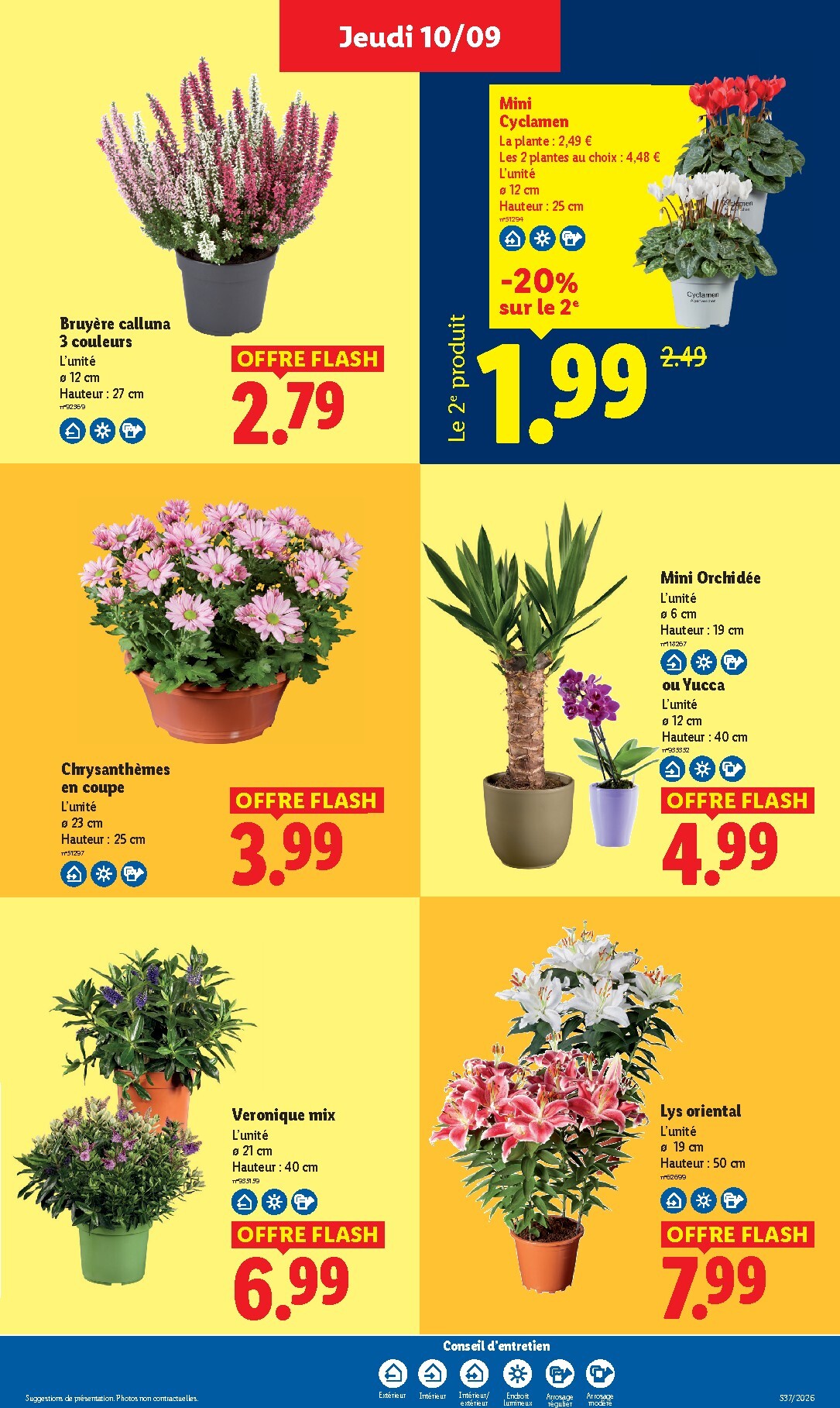 lidl - Flyer Lidl pour la semaine prochaine du de jeudi 10/09/2026 au du mercredi 16/09/2026 - page: 49