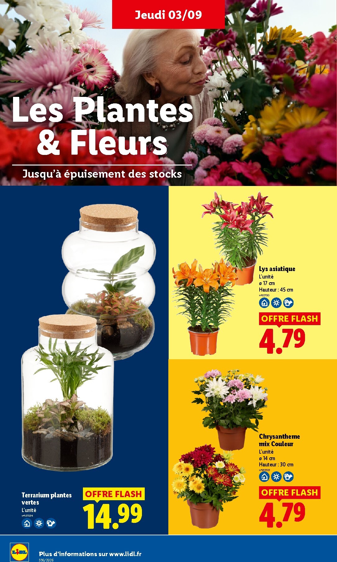 lidl - Current Lidl leaflet valid from de jeudi 03/09/2026 to du mercredi 09/09/2026 - page: 34
