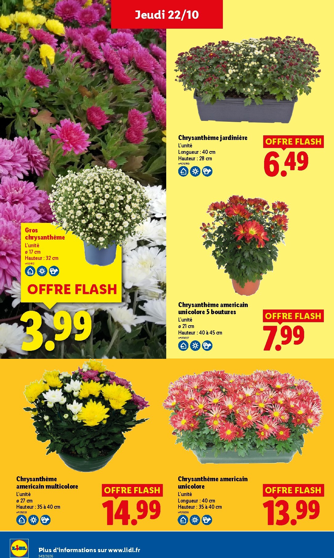 lidl - Flyer Lidl pour la semaine prochaine du de jeudi 22/10/2026 au du mercredi 28/10/2026 - page: 33