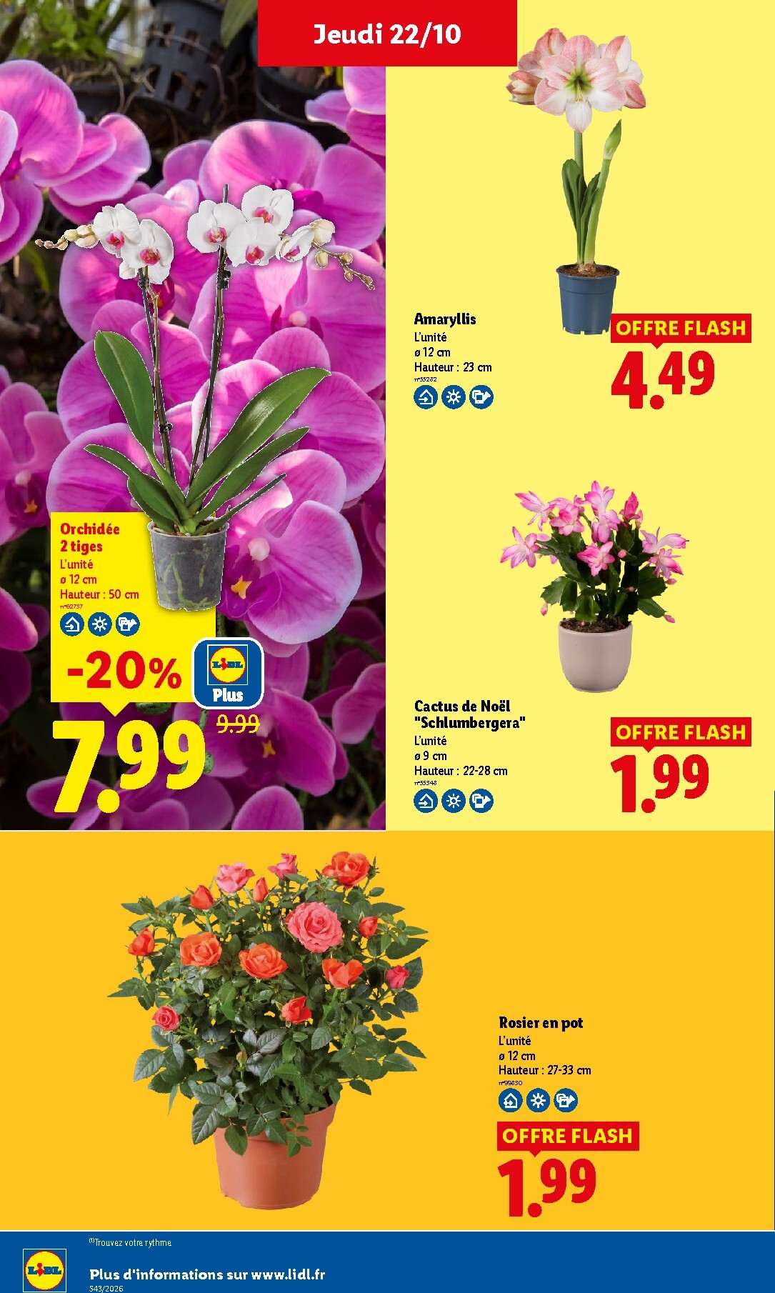 lidl - Prospectus Lidl valide du de jeudi 22/10/2026 au du mercredi 28/10/2026 - page: 35