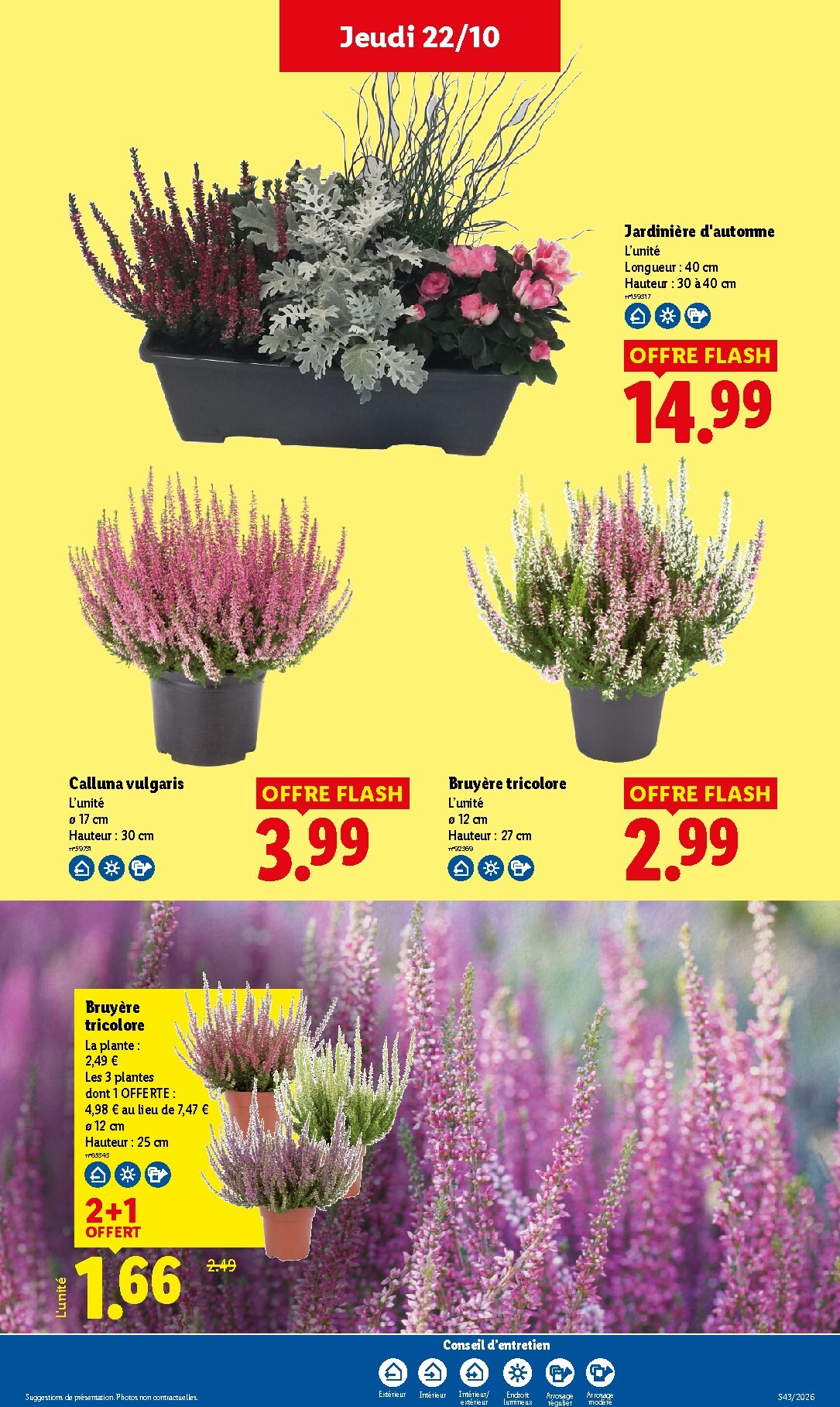 lidl - Prospectus Lidl valide du de jeudi 22/10/2026 au du mercredi 28/10/2026 - page: 34