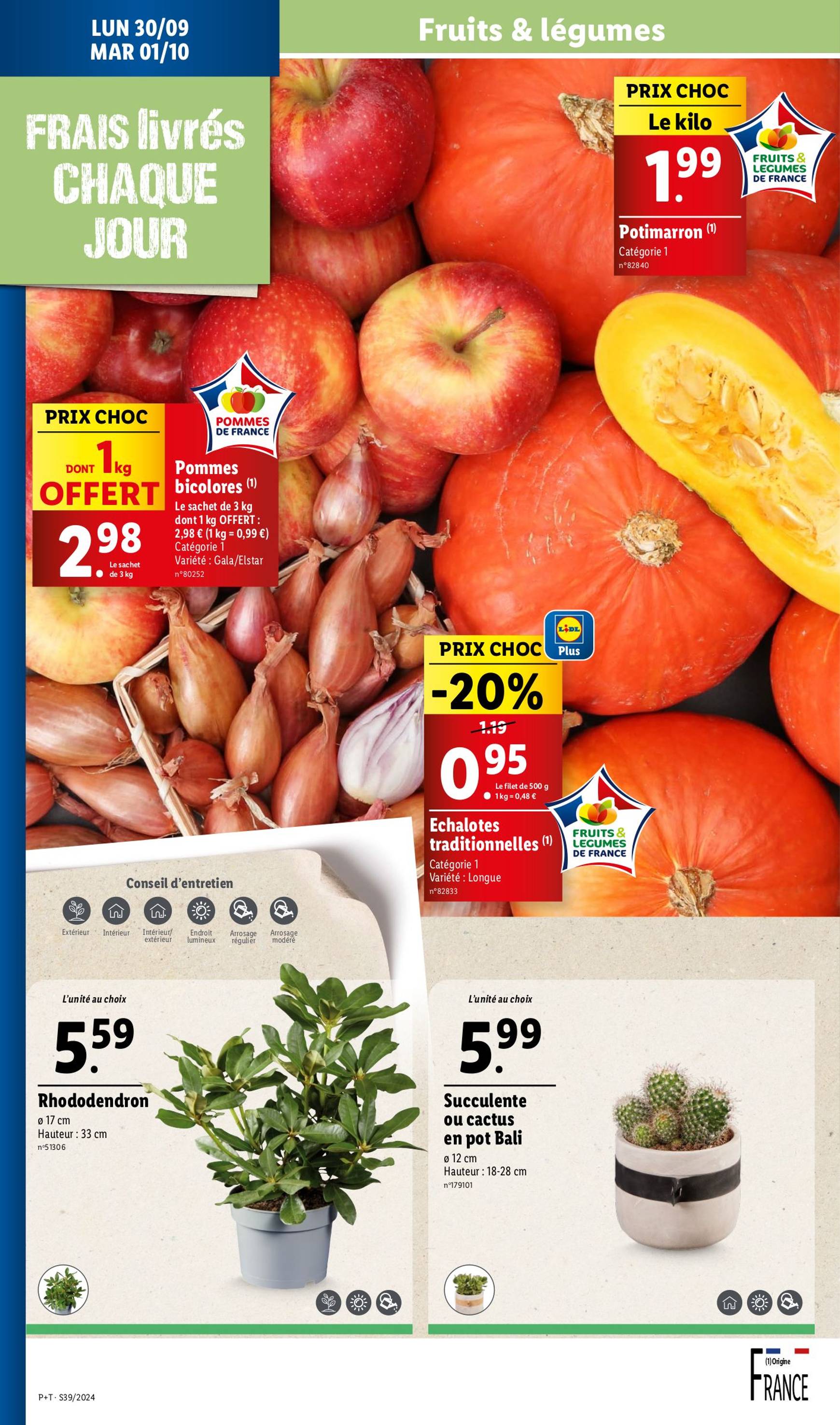 lidl - Catalogue Lidl valable dès 25.09. - 01.10. - page: 26