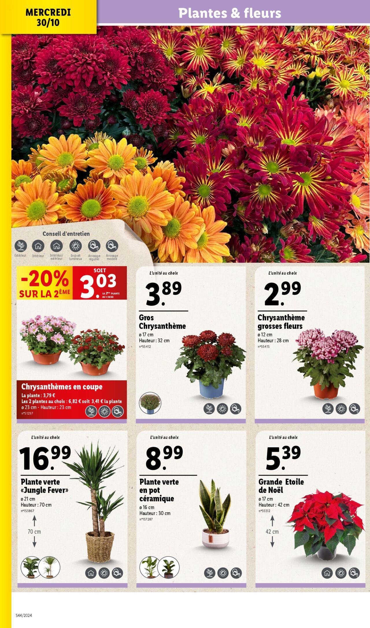 lidl - Catalogue LIDL du 30/10/2024 - 05/11/2024 - page: 6