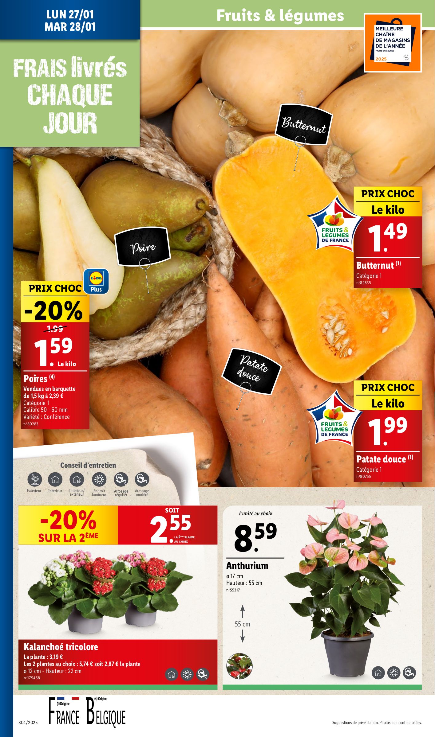 lidl - Catalogue Lidl valable dès 22/01 - 28/01 - page: 36