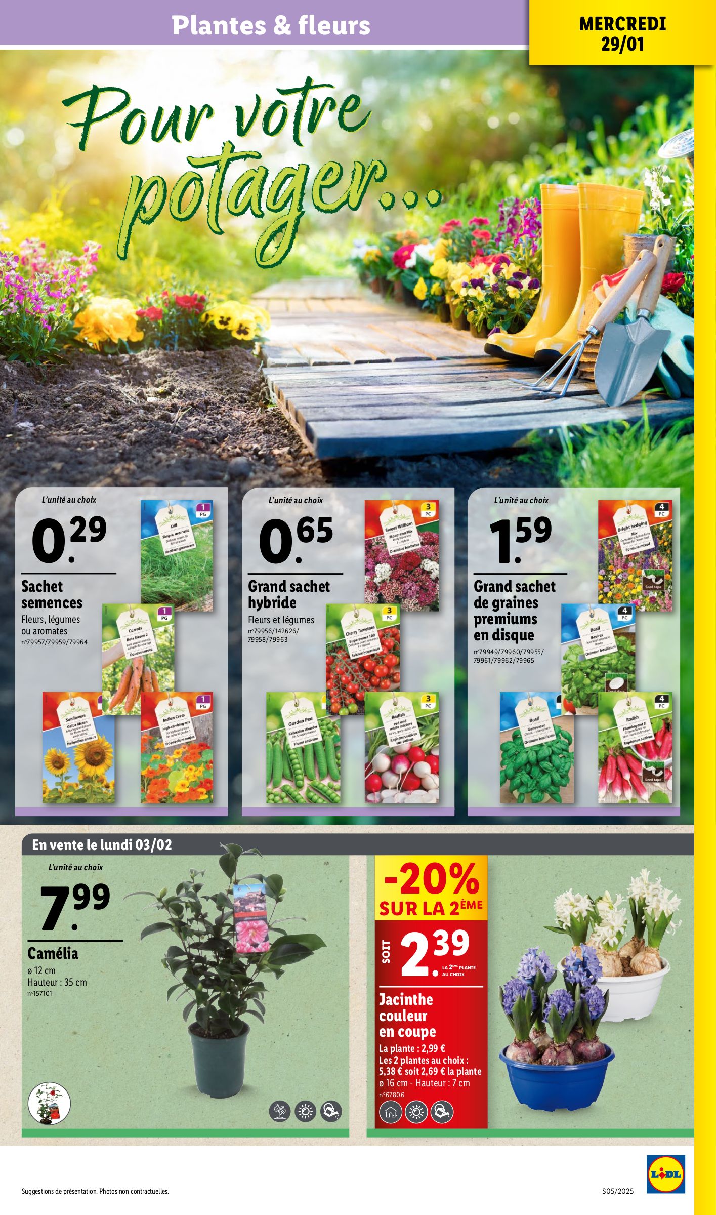 lidl - Catalogue Lidl valable dès 29/01 - 05/02 - page: 33