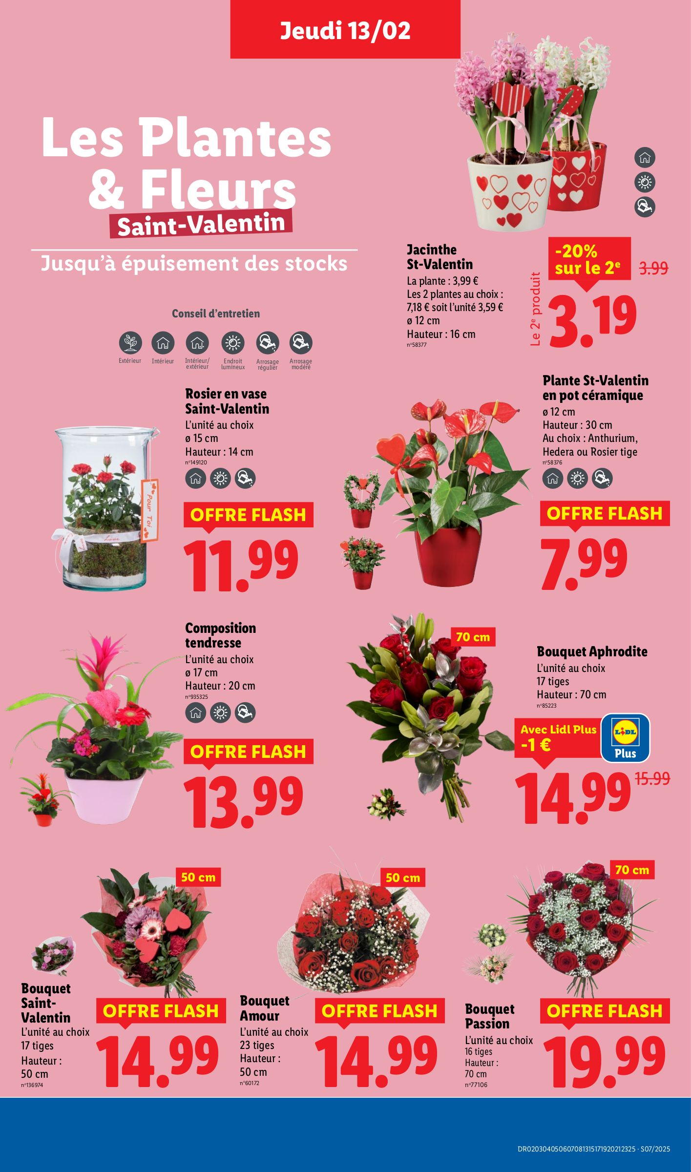 lidl - Catalogue Lidl valable dès 13/02 - 19/02 - page: 35