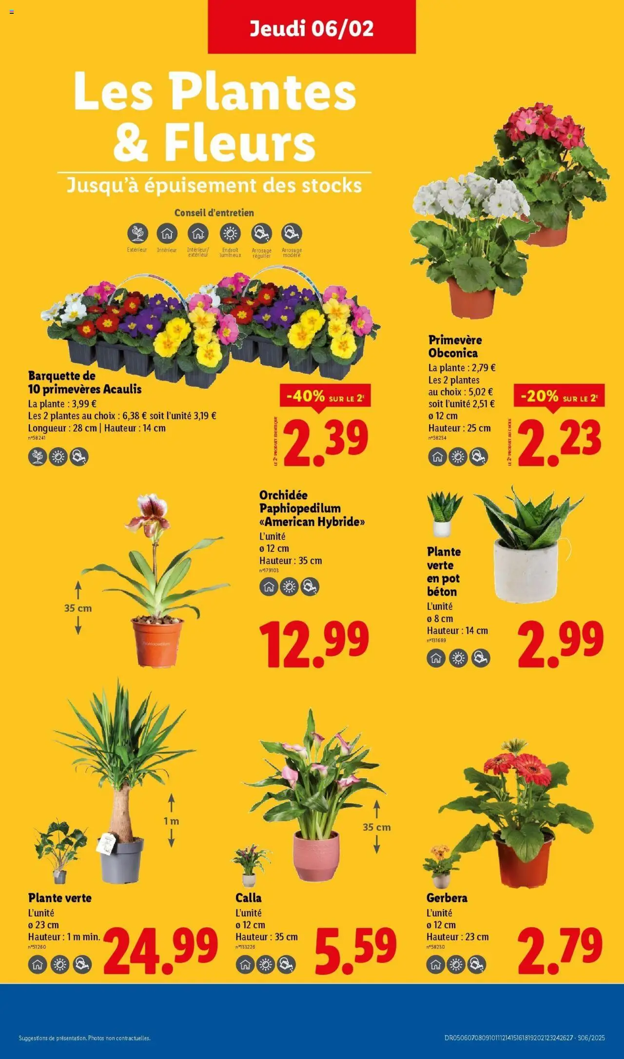 lidl - Catalogue LIDL du 05/02/2025 - 12/02/2025 - page: 35