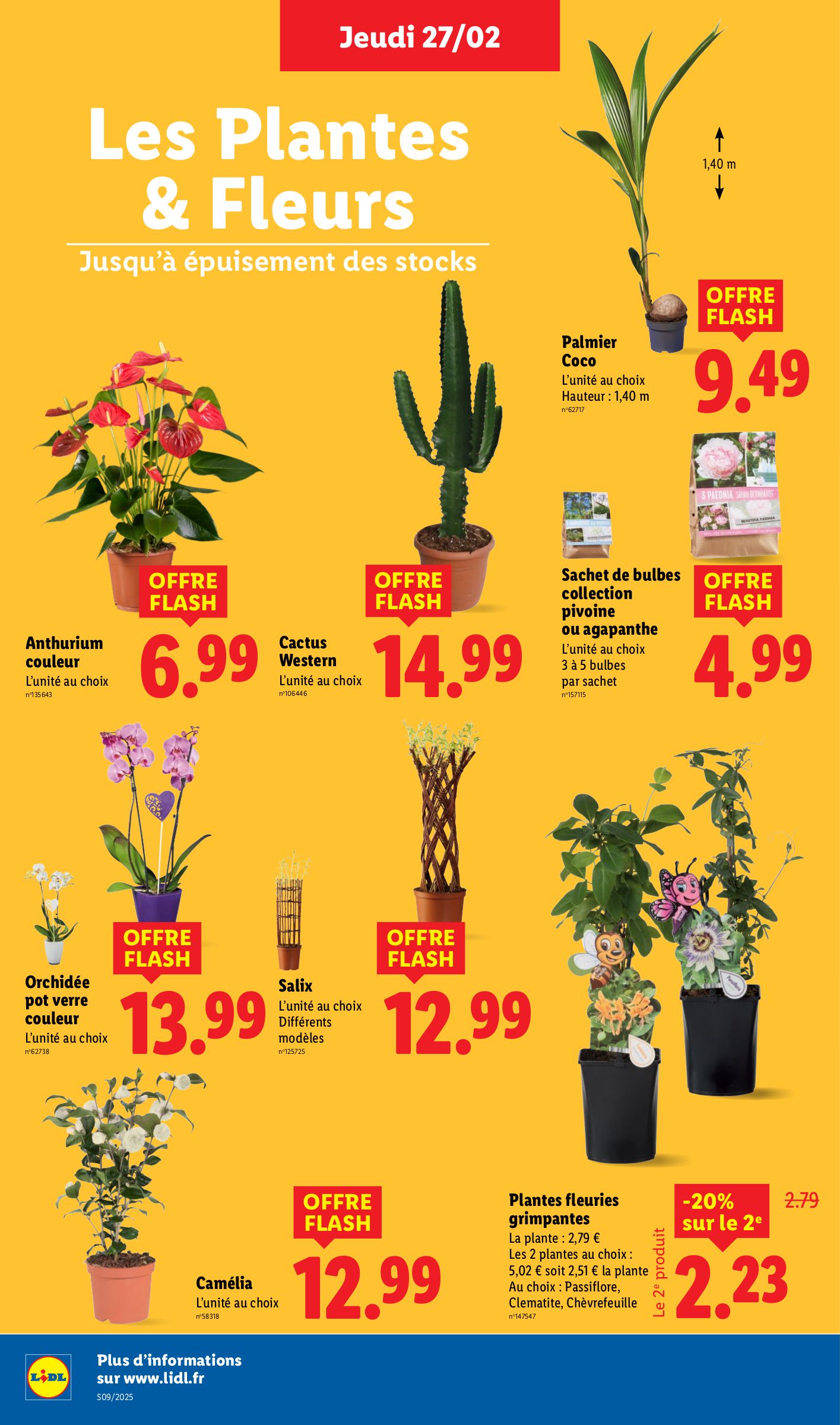 lidl - Catalogue Lidl valable dès 27/02 - 05/03 - page: 30