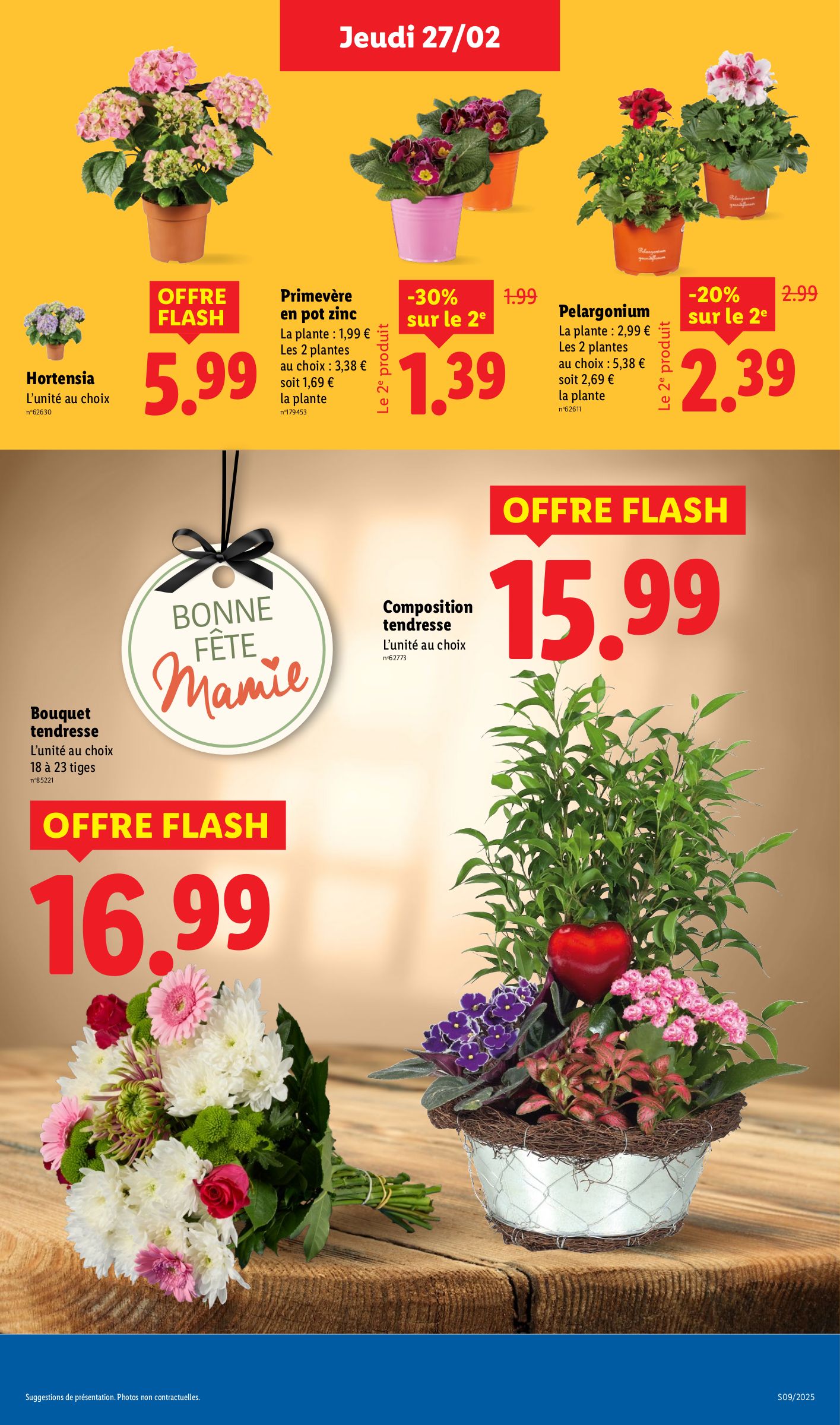 lidl - Catalogue Lidl valable dès 27/02 - 05/03 - page: 31