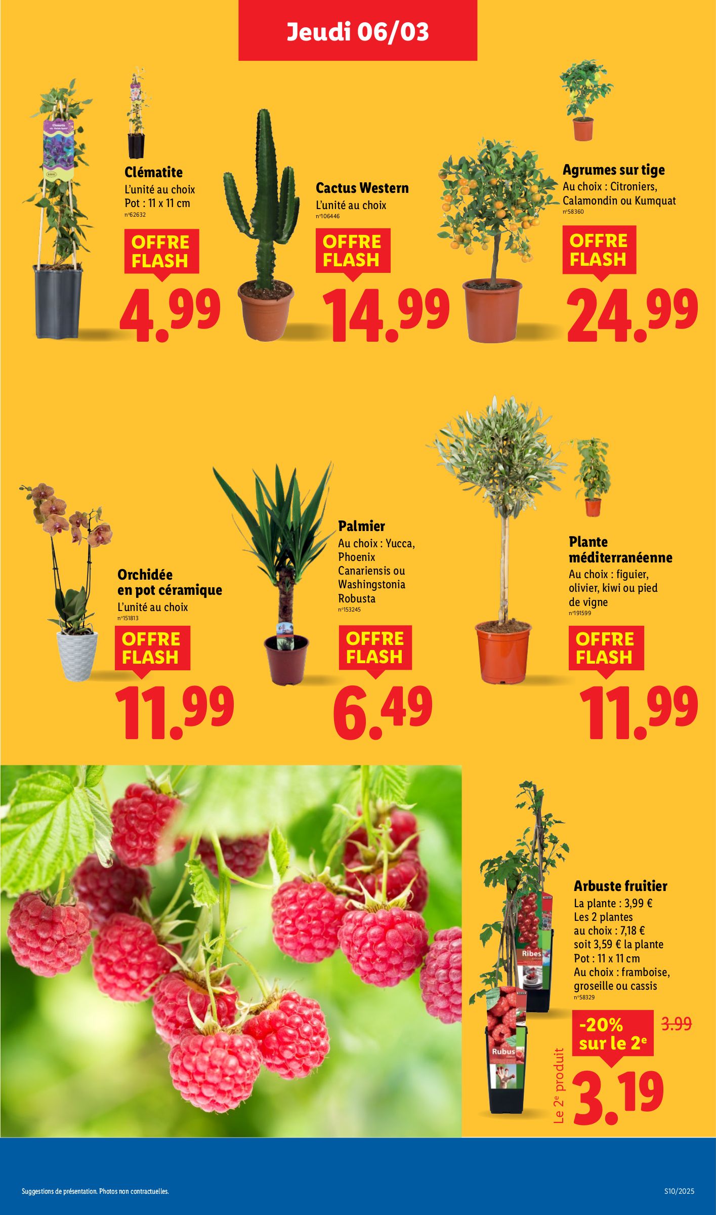 lidl - Catalogue Lidl valable dès 06/03 - 12/03 - page: 29