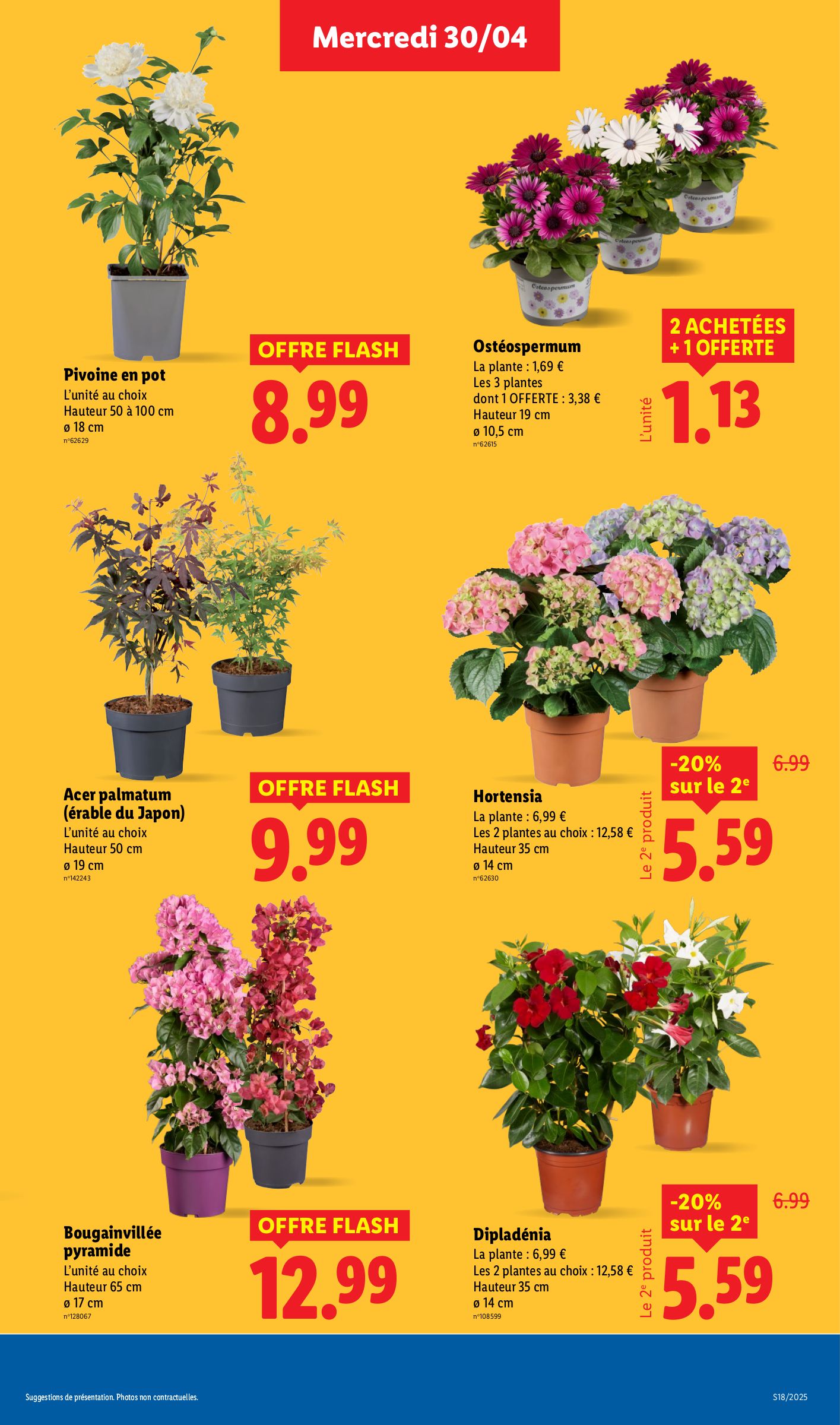 lidl - Catalogue Lidl valable dès 30/04 - 07/05 - page: 29 lidl - Catalogue Lidl valable dès 30/04 - 07/05 - page: 29