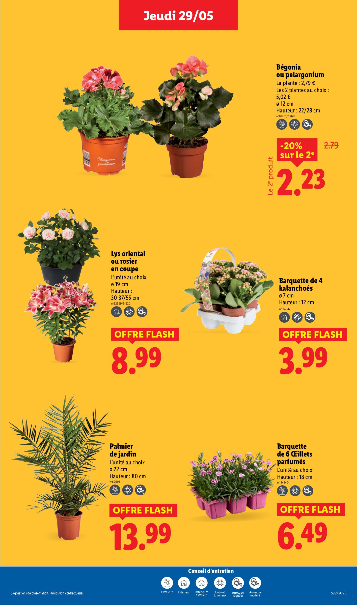 lidl - Catalogue Lidl valable dès 29/05 - 04/06 - page: 33 lidl - Catalogue Lidl valable dès 29/05 - 04/06 - page: 33
