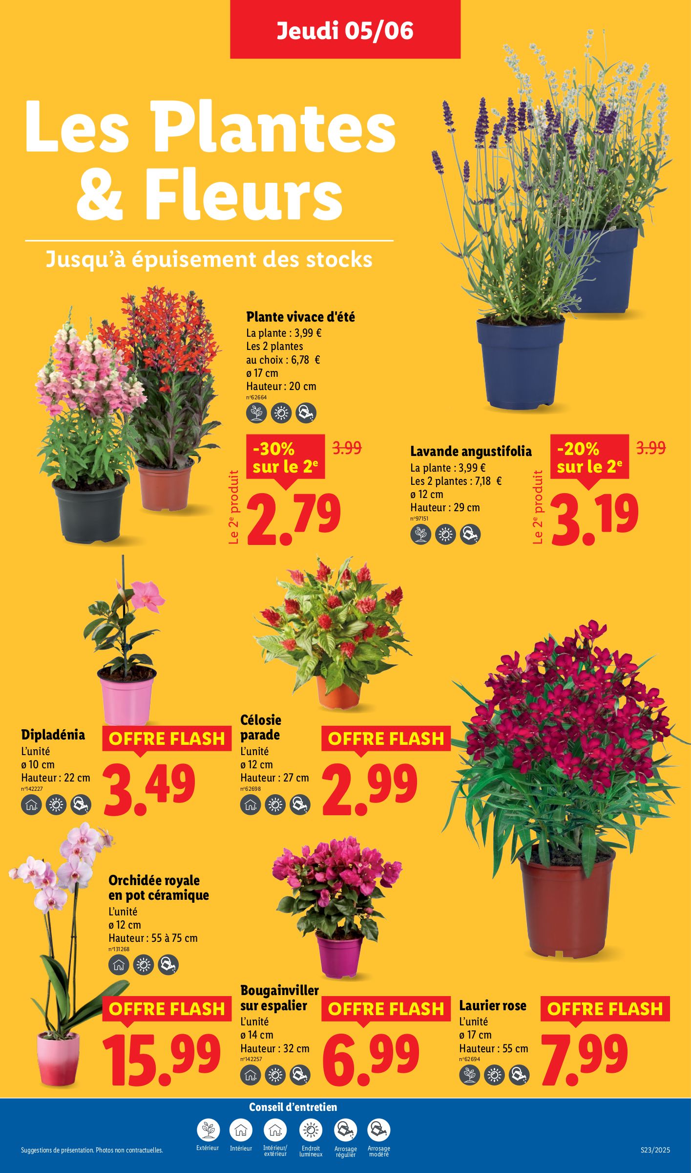 lidl - Catalogue Lidl - Les promos de la semaine valable dès 05/06 - 11/06 - page: 29 lidl - Catalogue Lidl - Les promos de la semaine valable dès 05/06 - 11/06 - page: 29