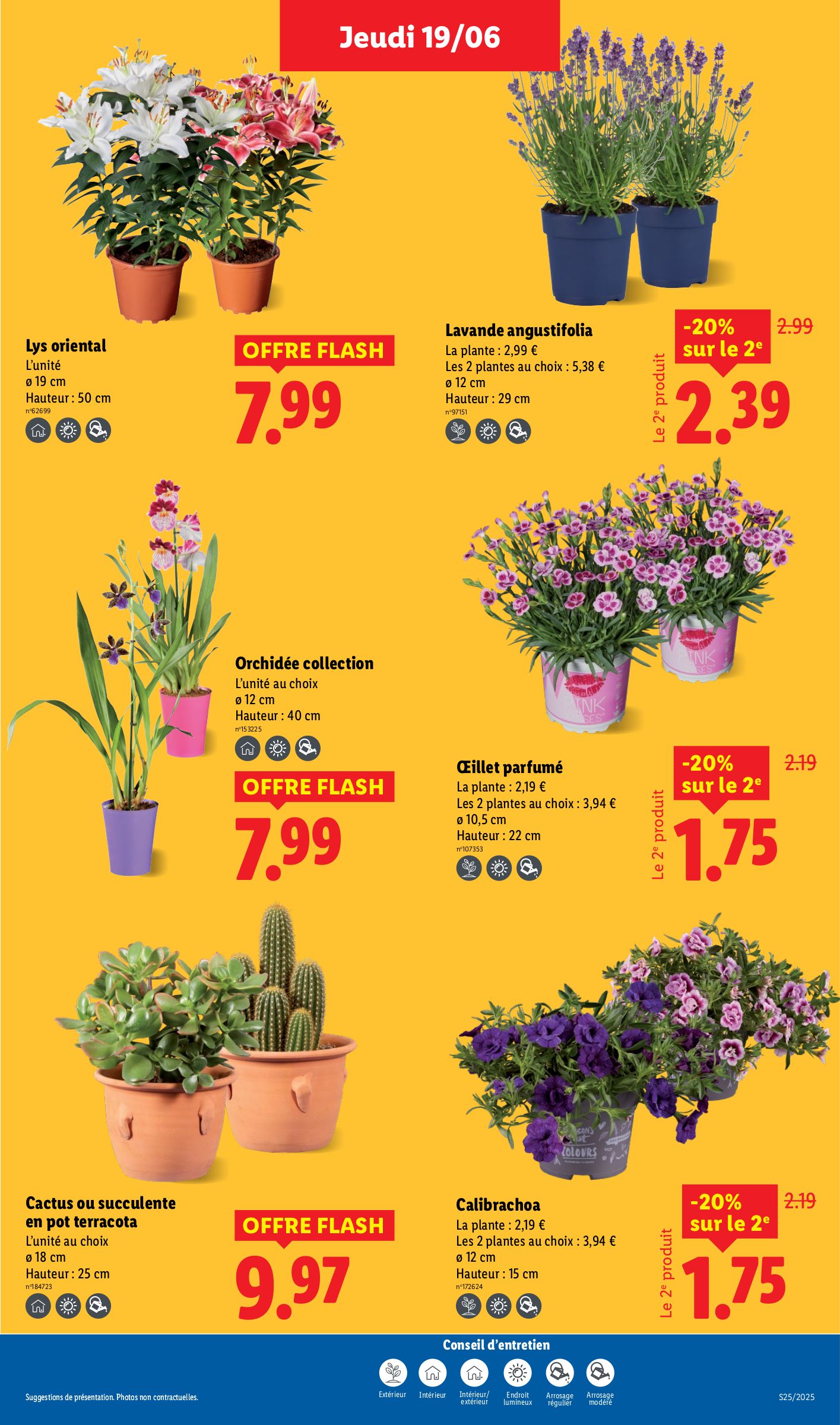lidl - Catalogue Lidl valable du 19/06 au 25/06 - page: 29 lidl - Catalogue Lidl valable du 19/06 au 25/06 - page: 29