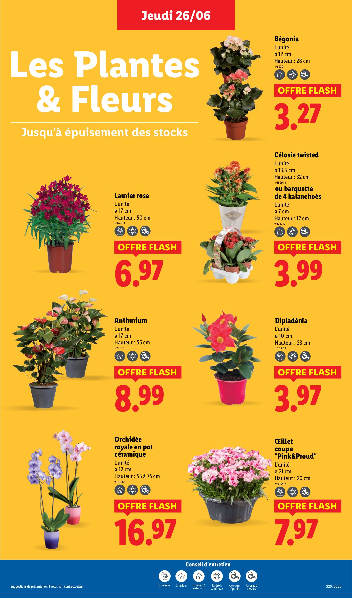 lidl - Catalogue Lidl - Les promos de la semaine valable du 26/06 au 02/07 - page: 29 lidl - Catalogue Lidl - Les promos de la semaine valable du 26/06 au 02/07 - page: 29