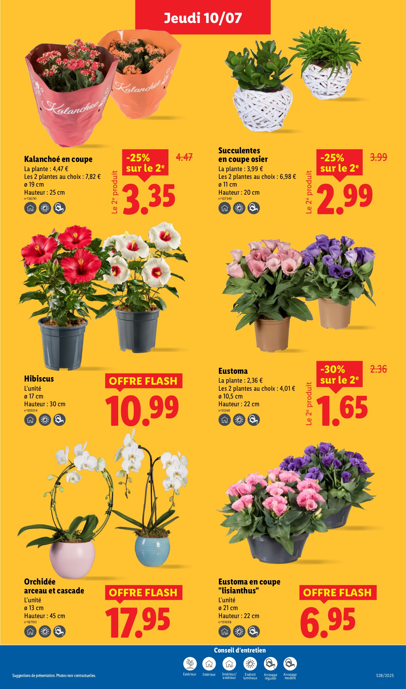lidl - Catalogue Lidl valable du 10/07 au 16/07 - page: 29