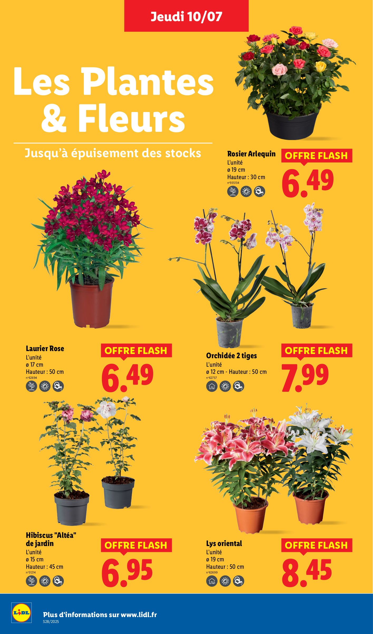 lidl - Catalogue Lidl valable du 10/07 au 16/07 - page: 28