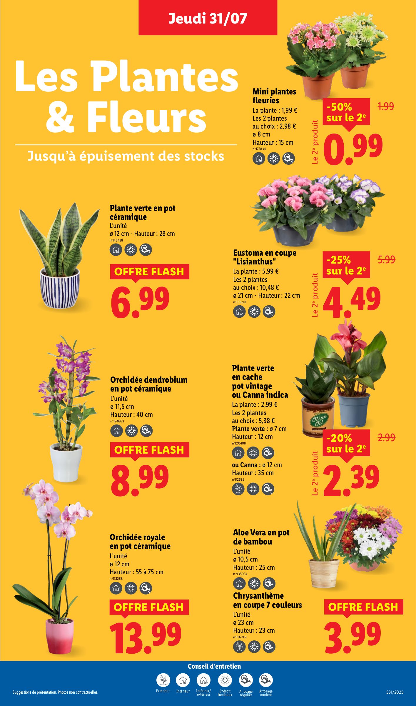 lidl - Catalogue Lidl valable du 31/07 au 06/08 - page: 29 lidl - Catalogue Lidl valable du 31/07 au 06/08 - page: 29