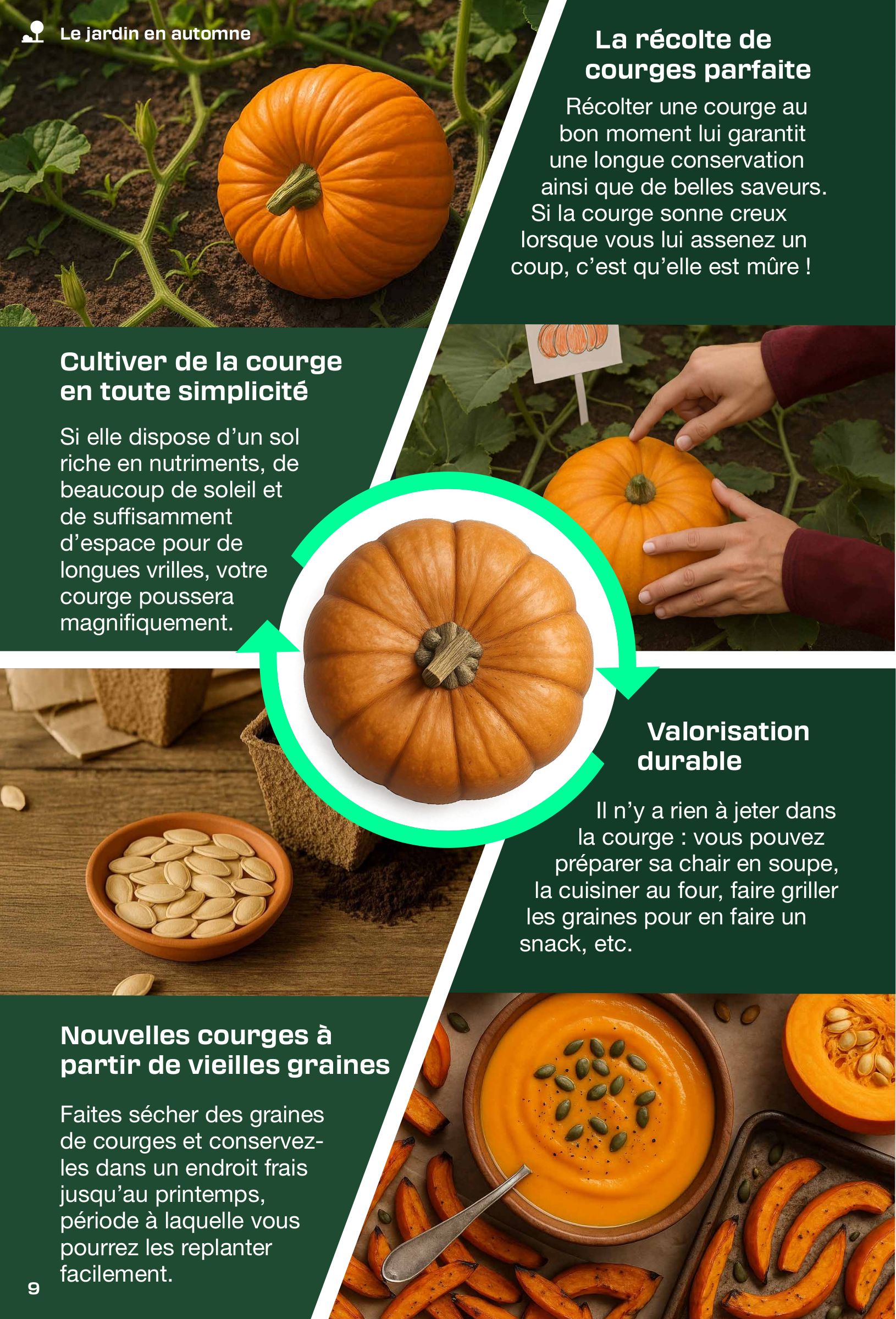 lidl - Catalogue Lidl - Le magazine de bricolage valable du 01/09 au 20/12 - page: 9