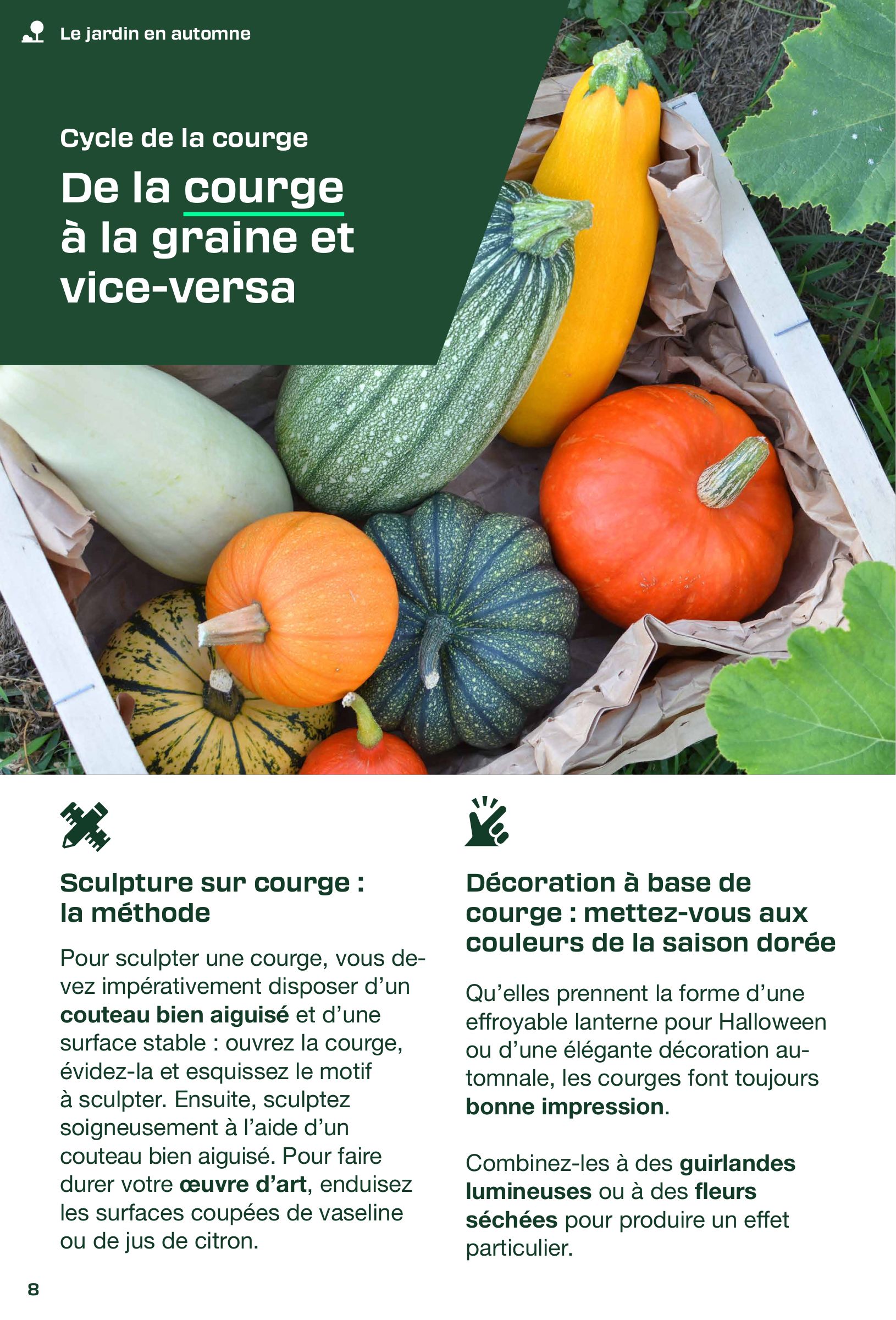lidl - Catalogue Lidl - Le magazine de bricolage valable du 01/09 au 20/12 - page: 8