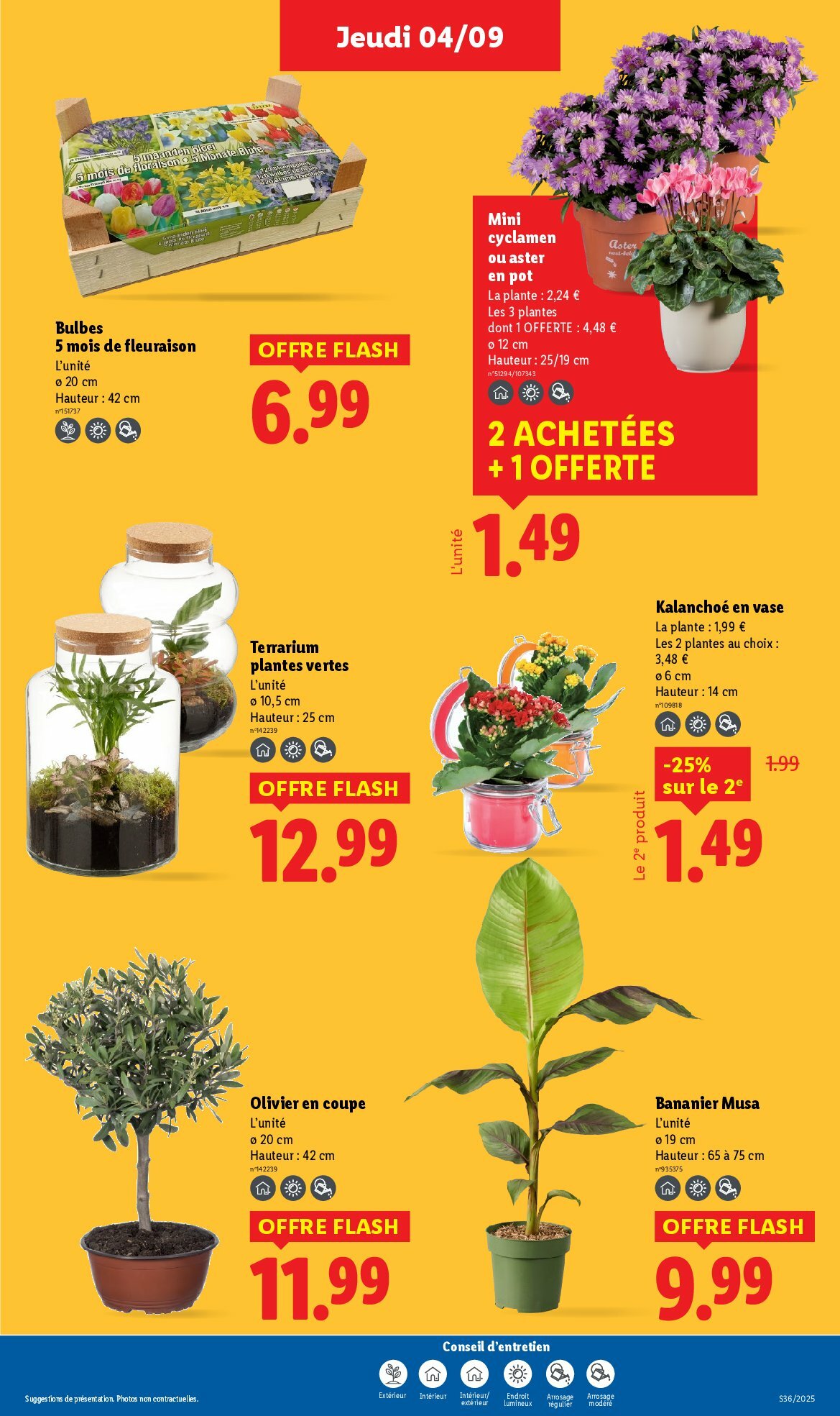 lidl - Catalogue Lidl valable du 04/09 au 10/09 - page: 31