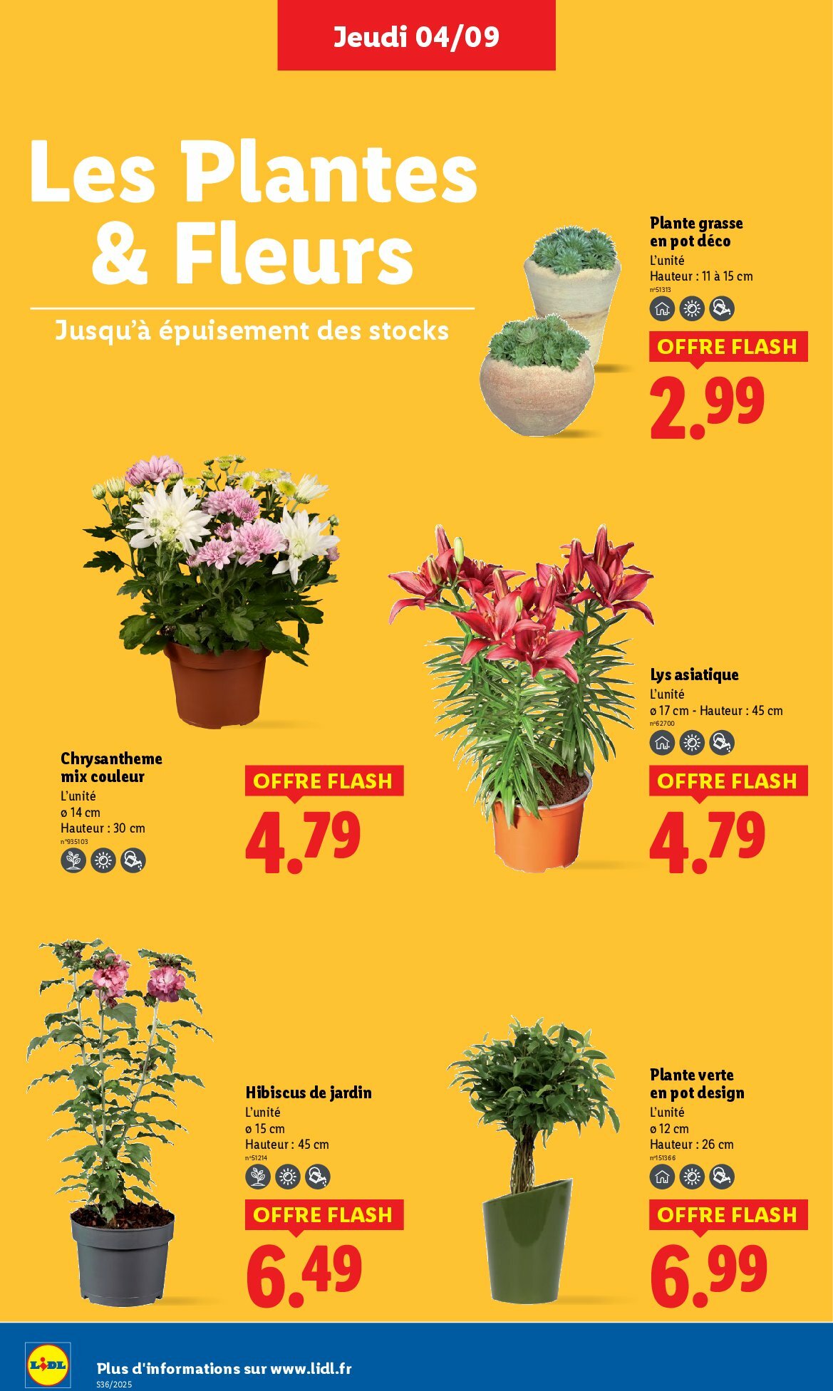 lidl - Catalogue Lidl valable du 04/09 au 10/09 - page: 30