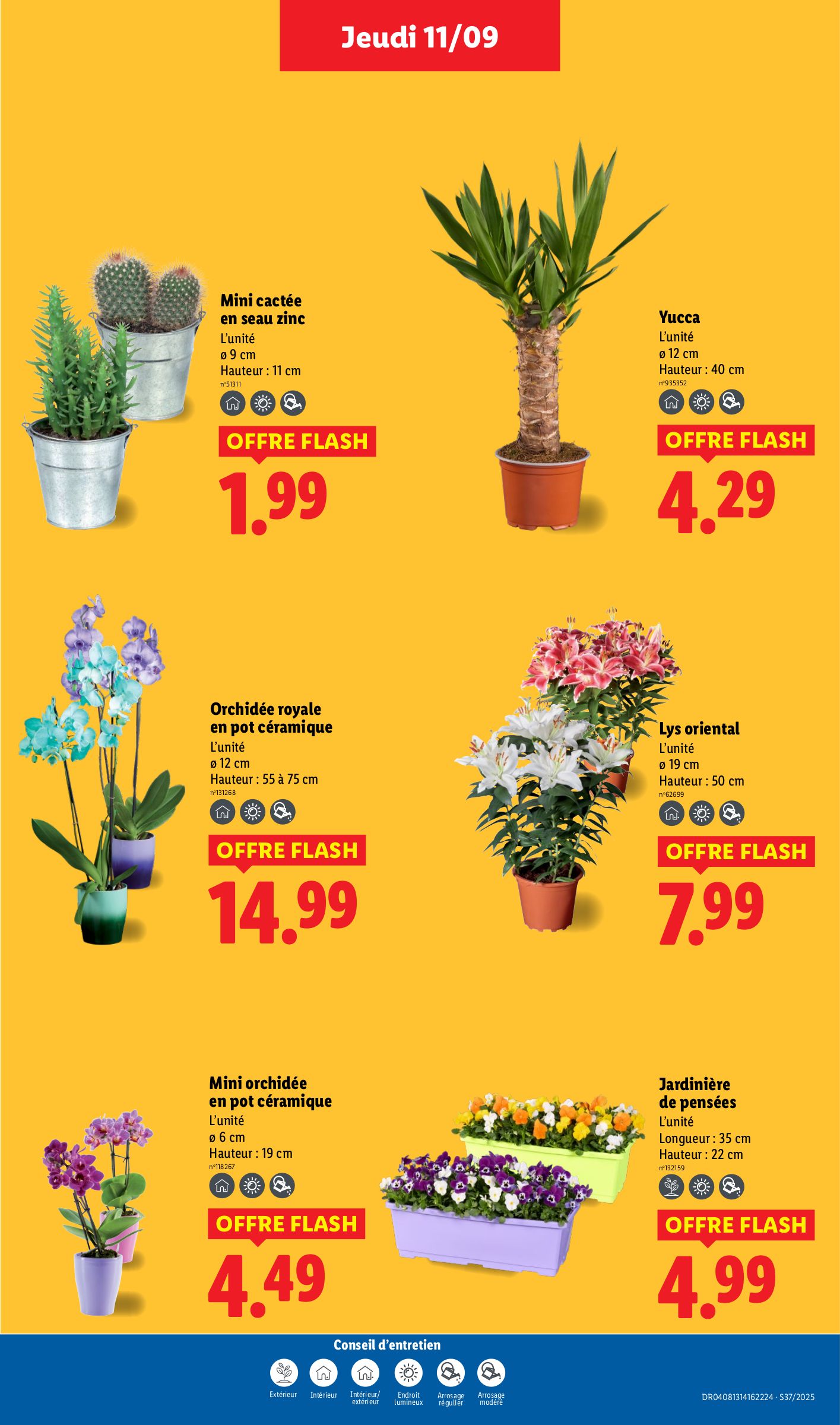 lidl - Catalogue Lidl valable du 11/09 au 17/09 - page: 29