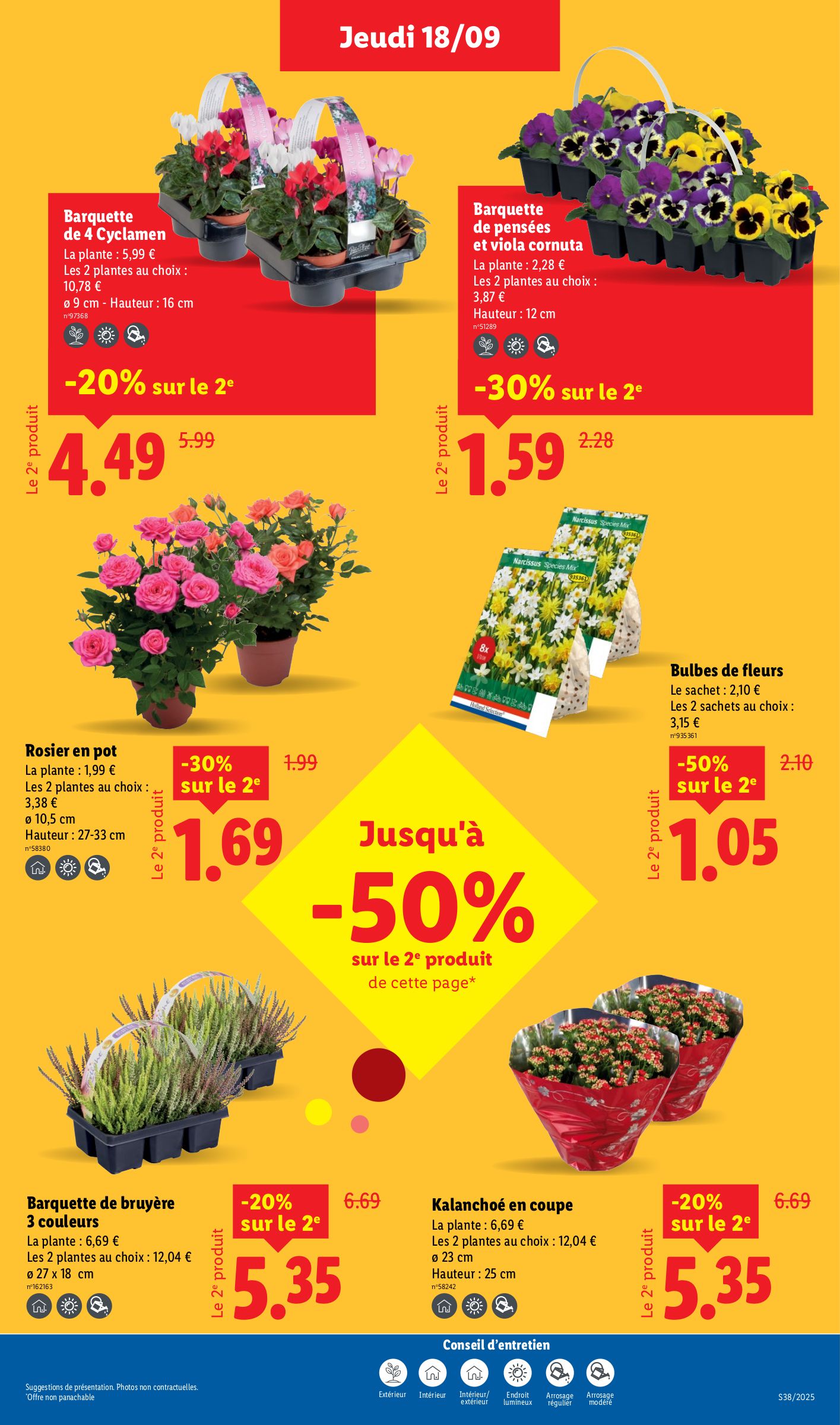lidl - Catalogue Lidl valable du 18/09 au 24/09 - page: 31 lidl - Catalogue Lidl valable du 18/09 au 24/09 - page: 31