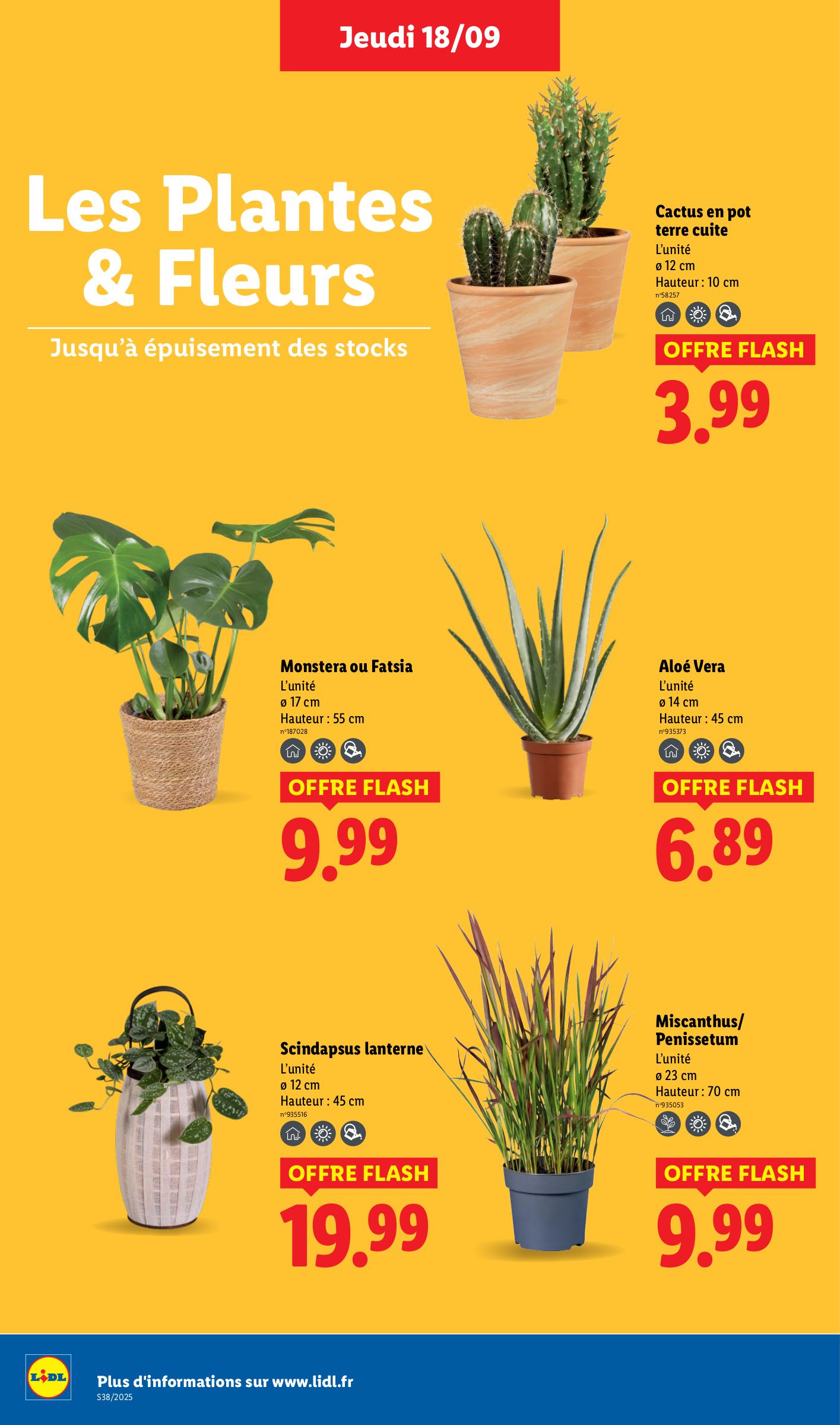 lidl - Catalogue Lidl valable du 18/09 au 24/09 - page: 30 lidl - Catalogue Lidl valable du 18/09 au 24/09 - page: 30
