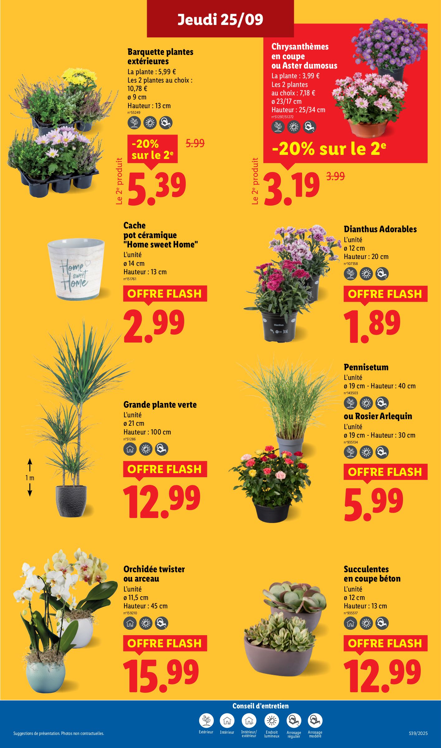 lidl - Catalogue Lidl valable du 25/09 au 01/10 - page: 27